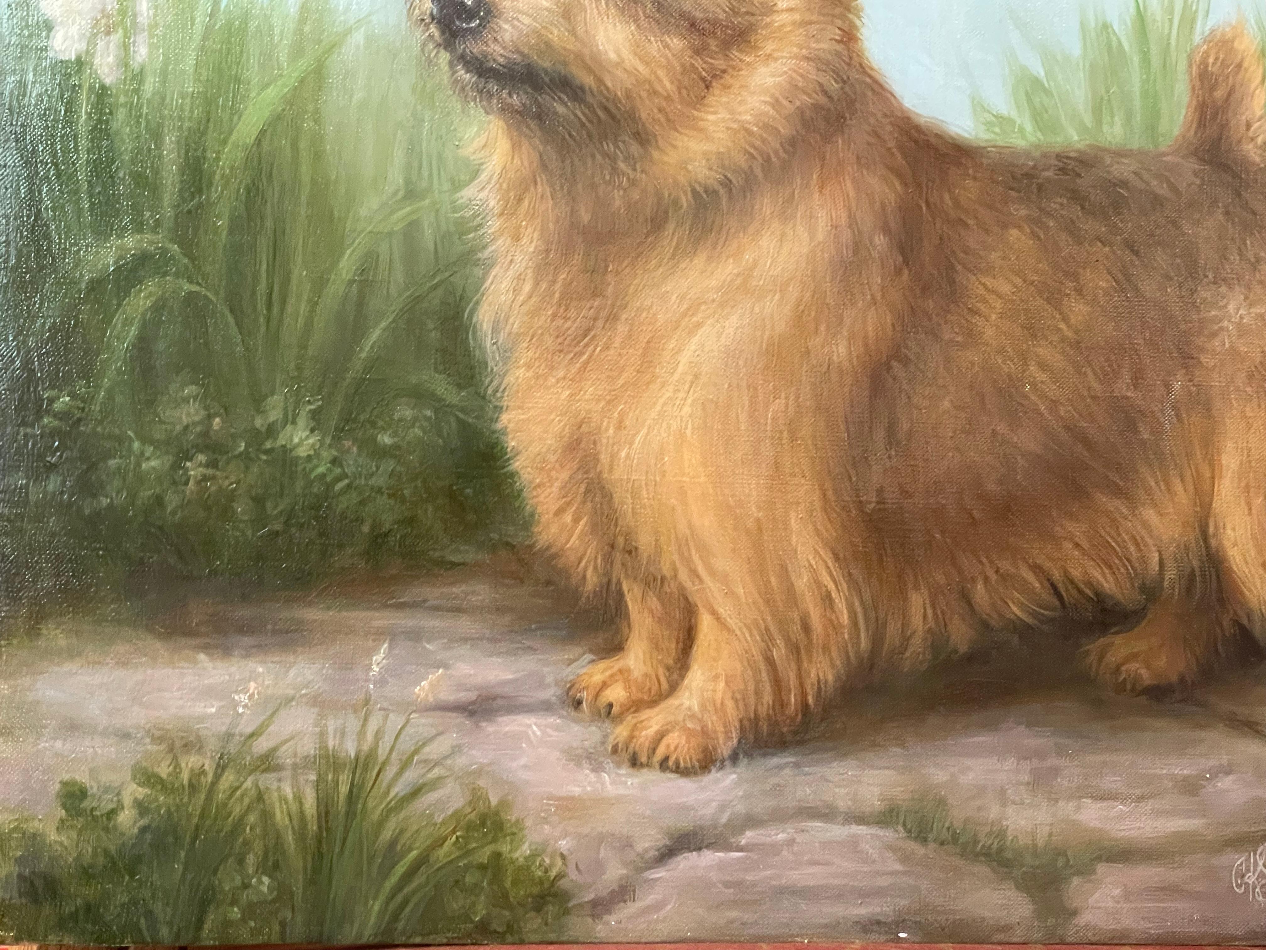 Terrier di Whiting e fiori bianchi XX secolo 7