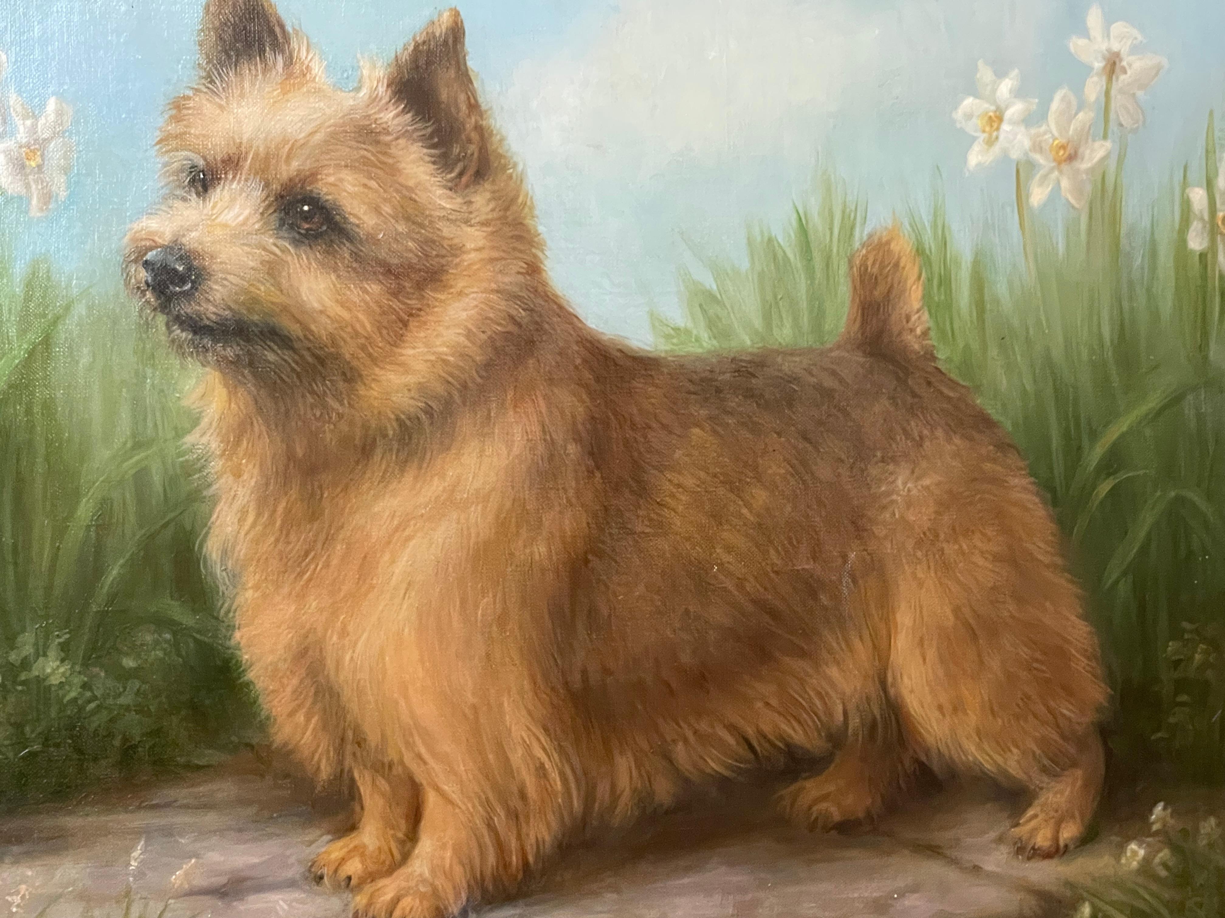 Terrier di Whiting e fiori bianchi XX secolo 2