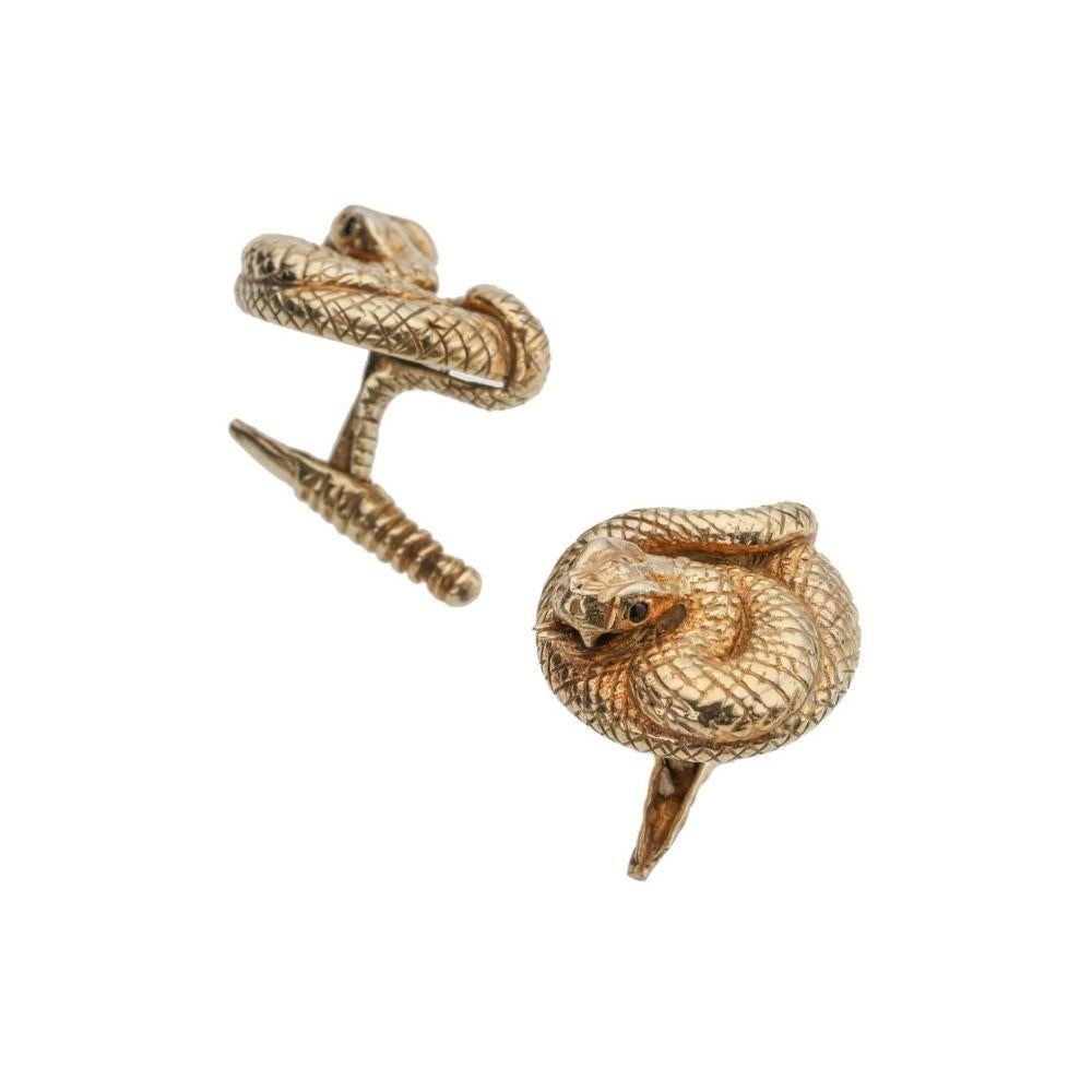 rattlesnake rattle earrings