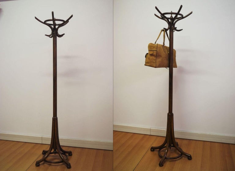 Encantador perchero de madera curvada estilo Thonet de los años 40