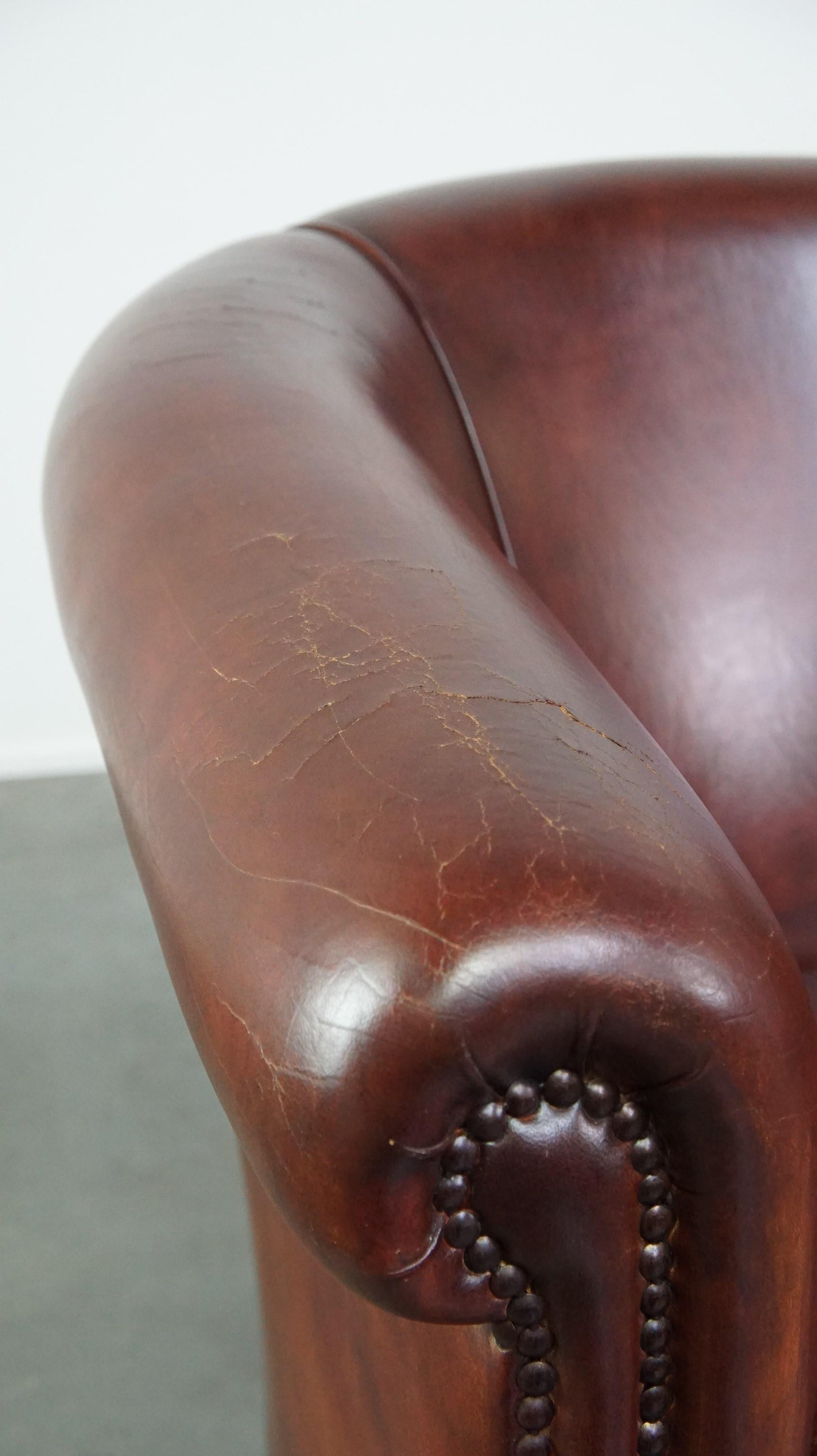 Charming and spacious sheepskin leather club armchair For Sale 5