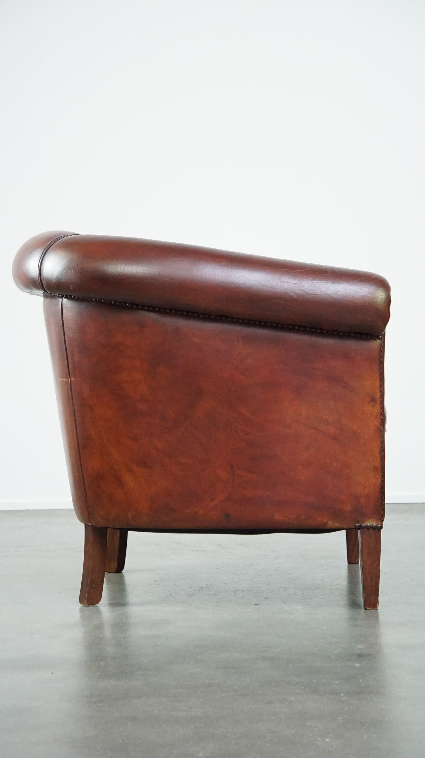 Dutch Charming and spacious sheepskin leather club armchair For Sale