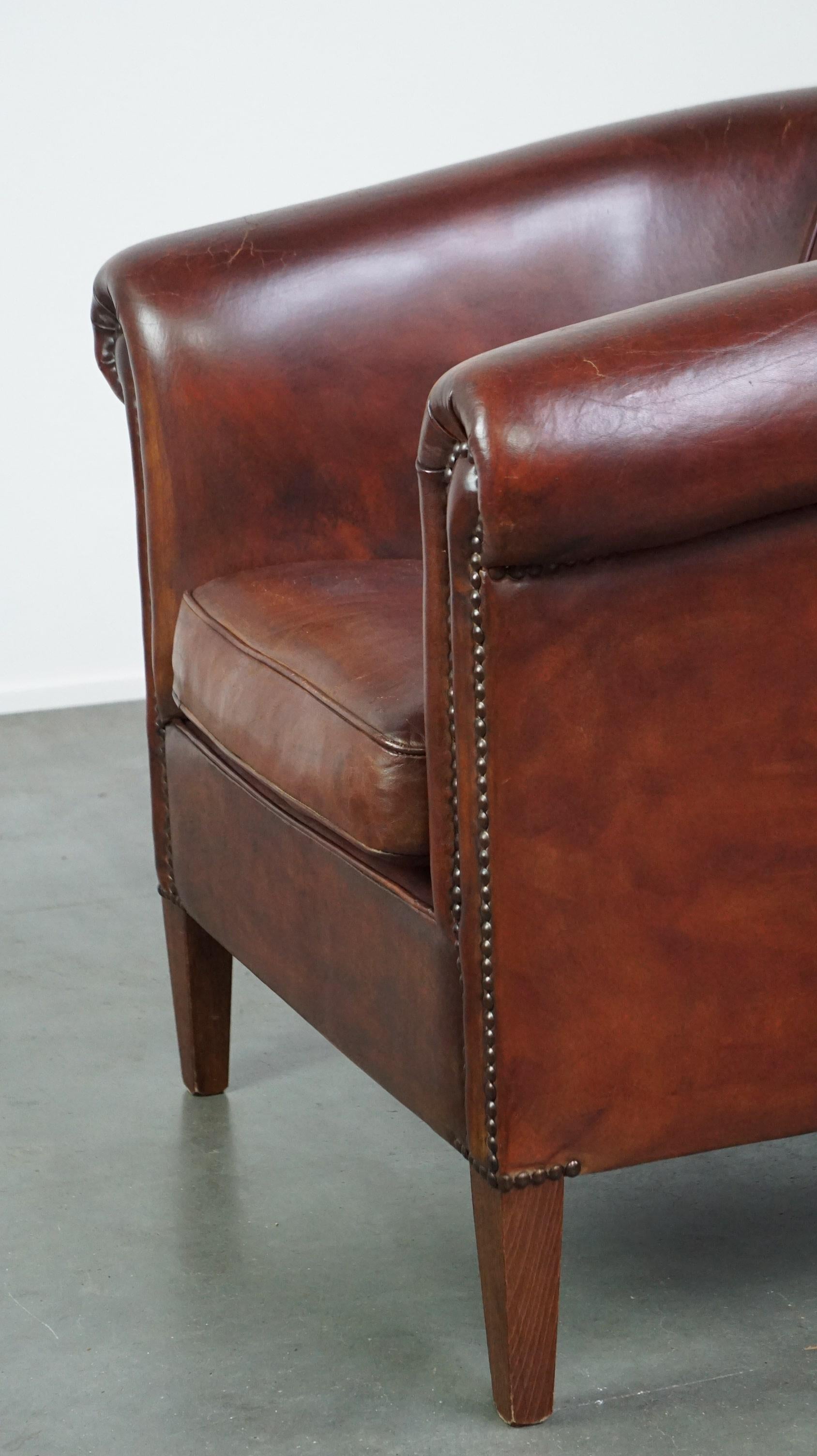 Charming and spacious sheepskin leather club armchair For Sale 2