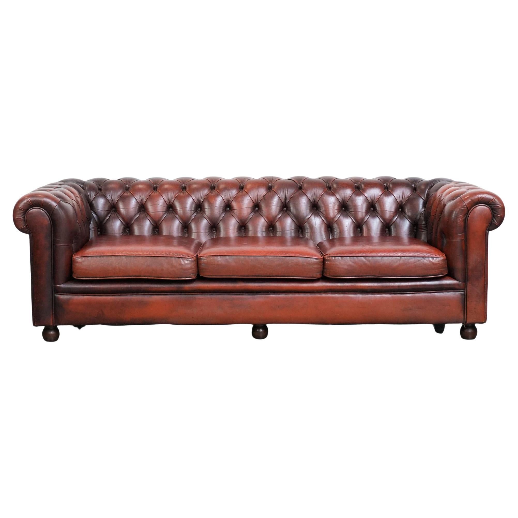Affascinante e intramontabile divano Chesterfield a 3 posti in pelle di mucca rosso-marrone
