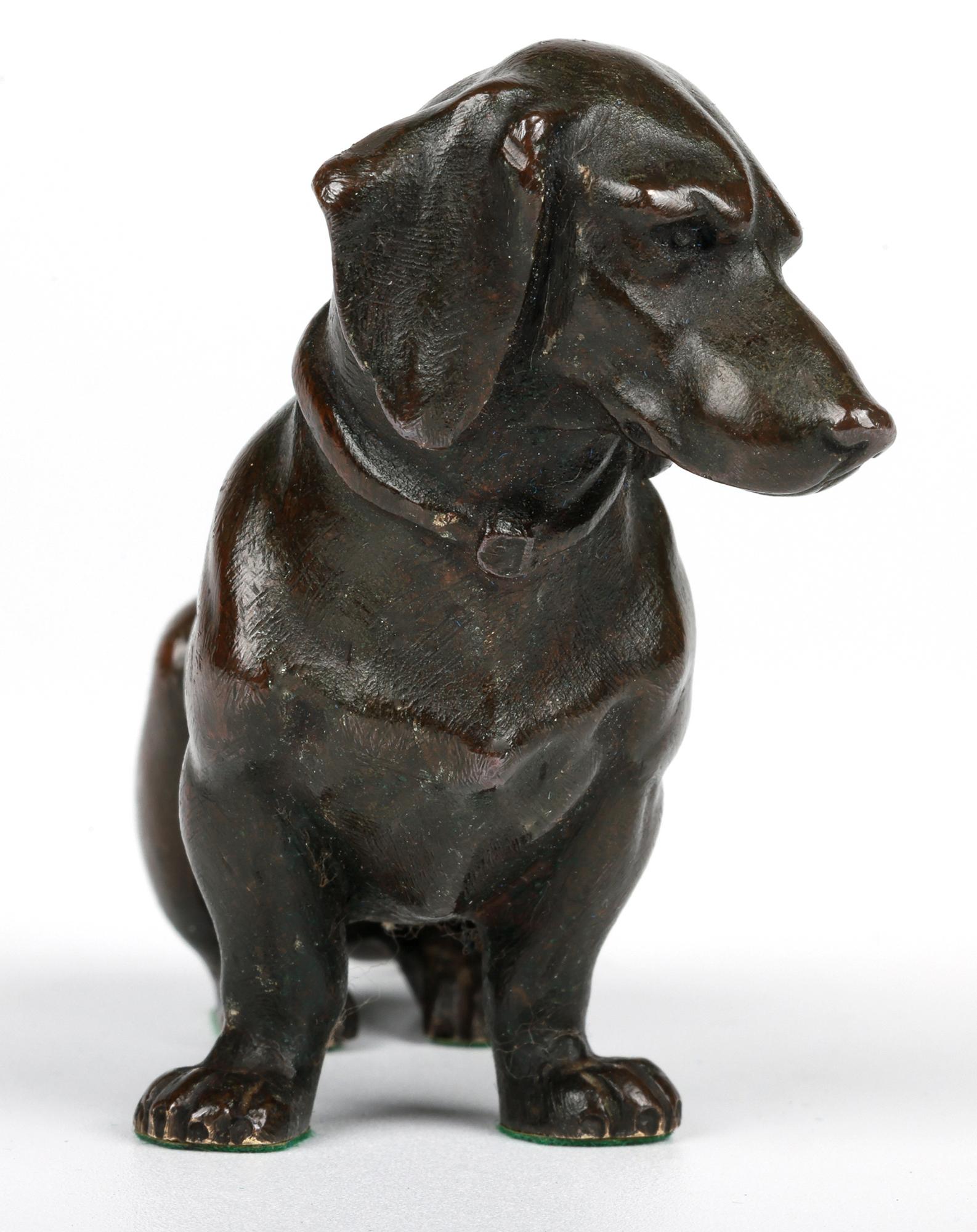 Austriaco Charme Antiques in bronzo con figura di bassotto seduto in vendita