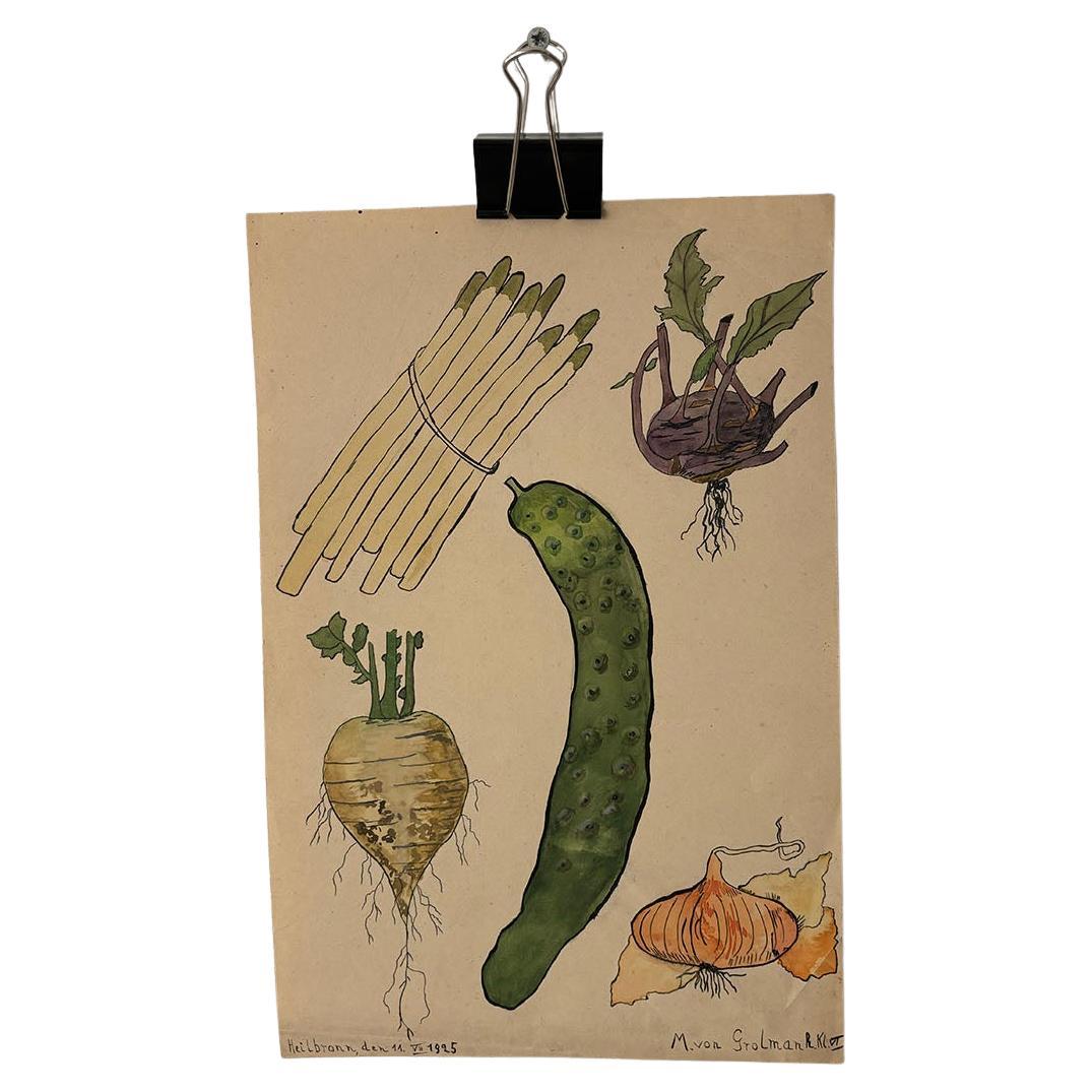 Affascinante disegno botanico d'epoca di M. von Grolman del 1925
