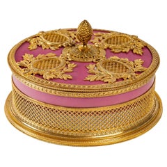 Charming Box in Pink Sèvres Porcelain, 19th Century