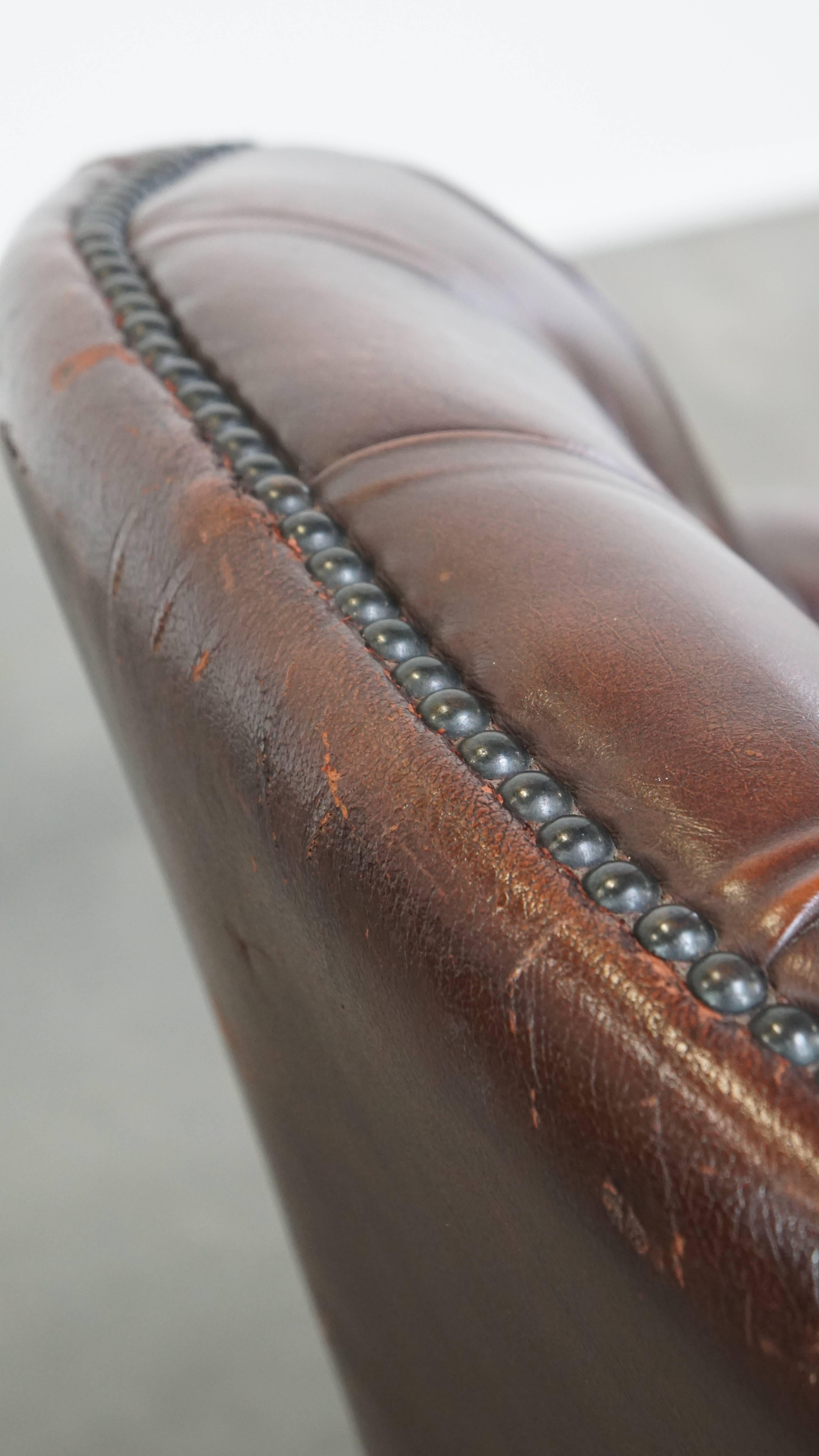 Charming, classic cow leather English chesterfield armchair with elegant legs For Sale 4