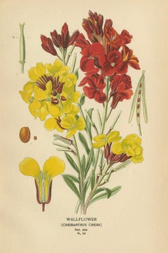 Charming Florals of the Victorian Era: A Collection of Antique Prints, 1896