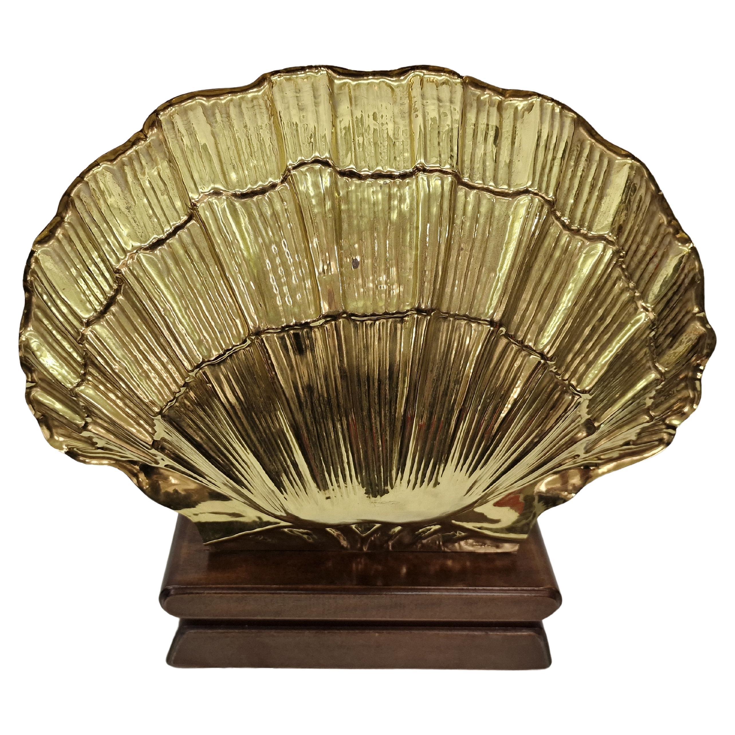 Encantadora lámpara de concha de mesa enorme, venus, metal, madera, Diseño de mediados de siglo, Italia