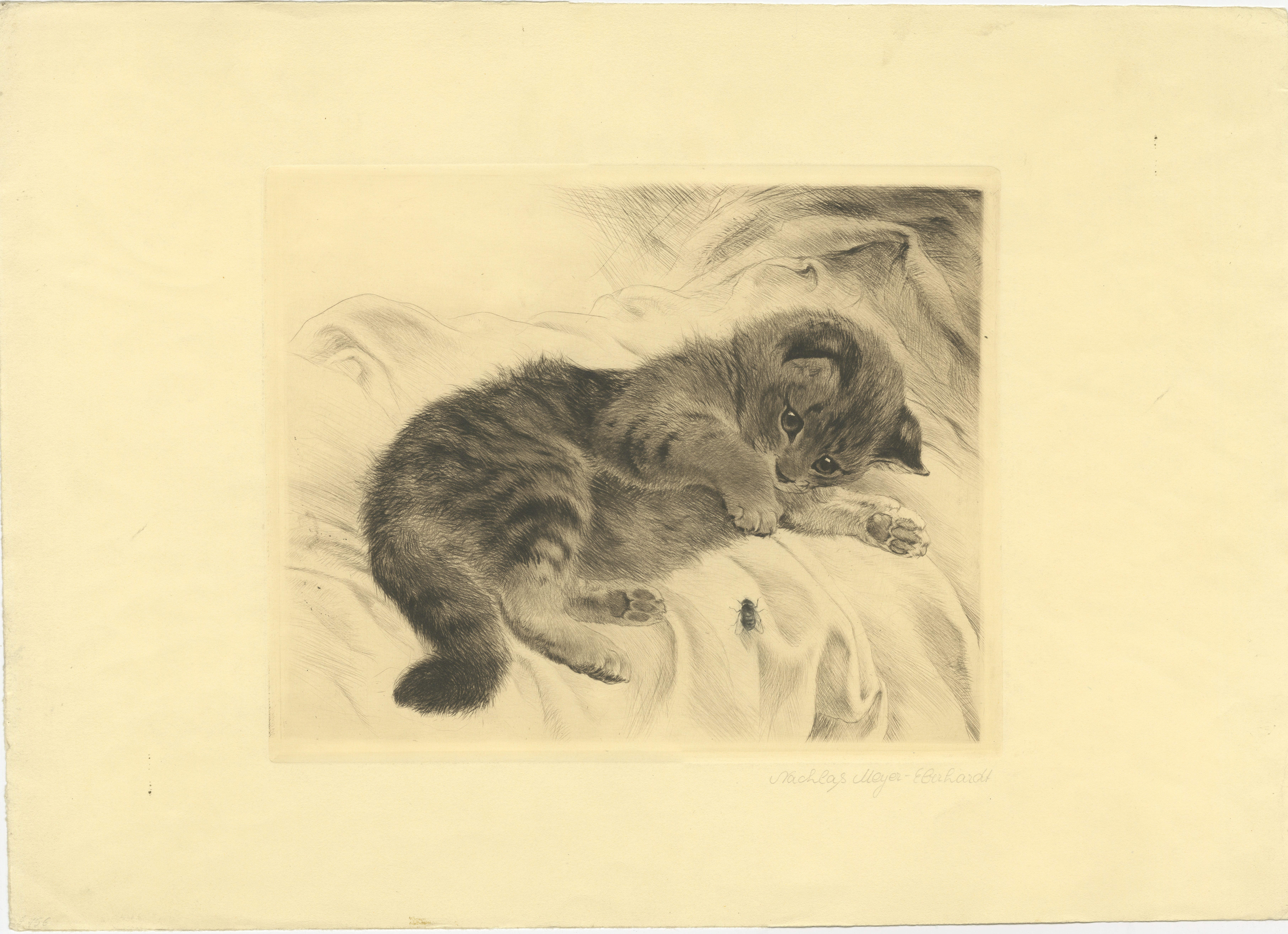 Acquaforte di Kurt Meyer-Eberhardt con charme di gattino - Edizione Estate 1977

Questa accattivante incisione di un gattino giocherellone è una deliziosa opera dell'artista tedesco Kurt Meyer-Eberhardt (1895-1977). Meyer-Eberhardt era famoso per i