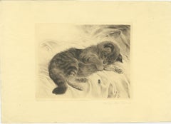 Charming Kitten Etching by Kurt Meyer-Eberhardt – Estate Edition 1977