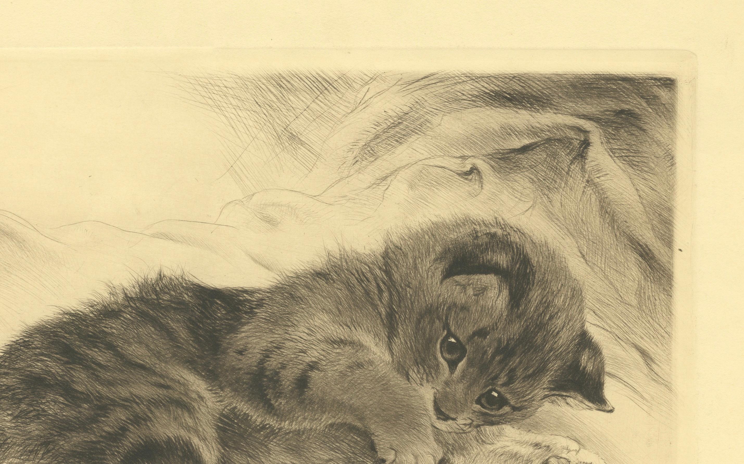 Fine XX secolo Acquaforte di Kurt Meyer-Eberhardt con charme di gattino - Edizione Estate 1977 in vendita