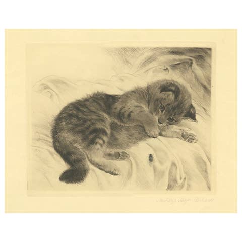 Charming Kitten Etching by Kurt Meyer-Eberhardt – Estate Edition 1977