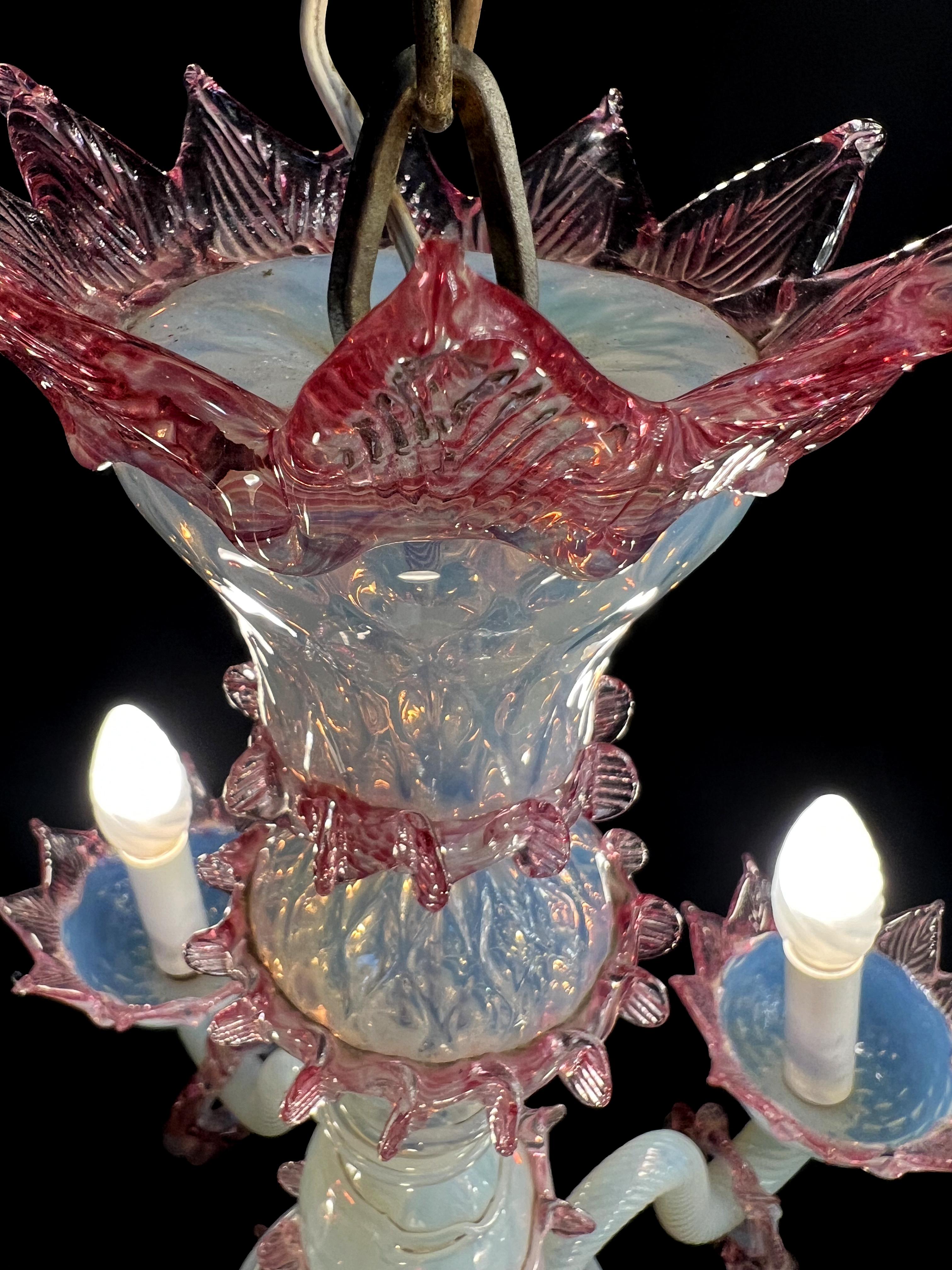 Charming Light Blue and Pink Venetian Chandelier, Murano, 1950s For Sale 10