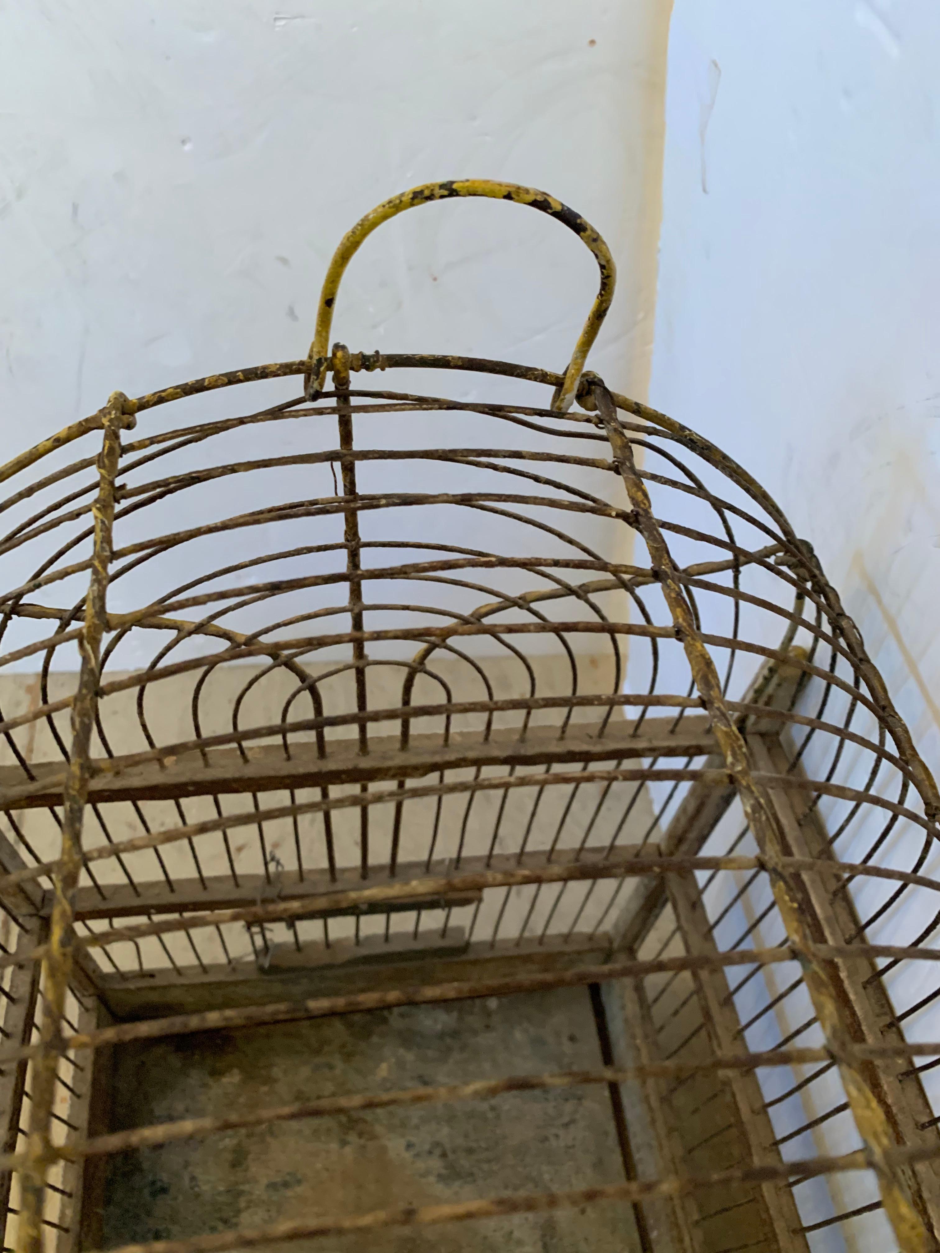 Charmante grande cage à oiseaux vintage en métal arqué avec dessus en arc de cercle en vente 4