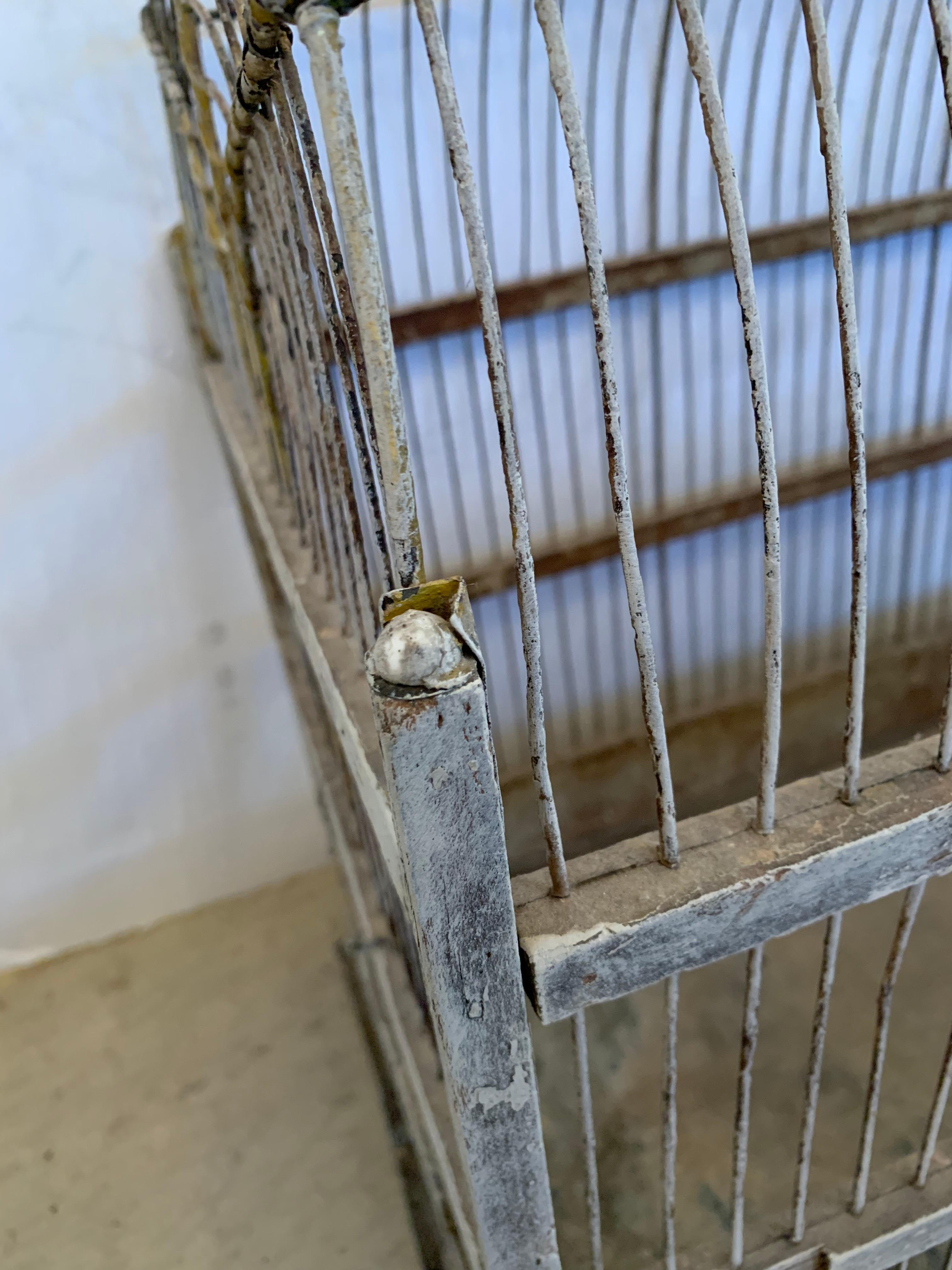 Métal Charmante grande cage à oiseaux vintage en métal arqué avec dessus en arc de cercle en vente