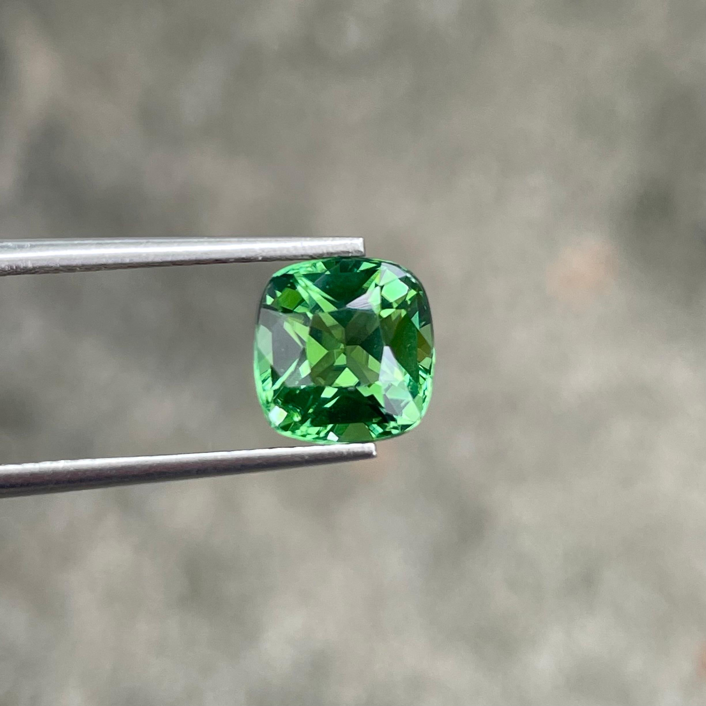 Weight 2.85 carats 
Dimensions 8.5 x 8.2 x 5.8 mm
Treatment None 
Origin Afghanistan 
Clarity VVS (Very, Very Slightly Included)
Shape Cushion 
Cut Fancy Cushion



Experience the allure of natural Afghan Mint Green Tourmaline, a gemstone prized for