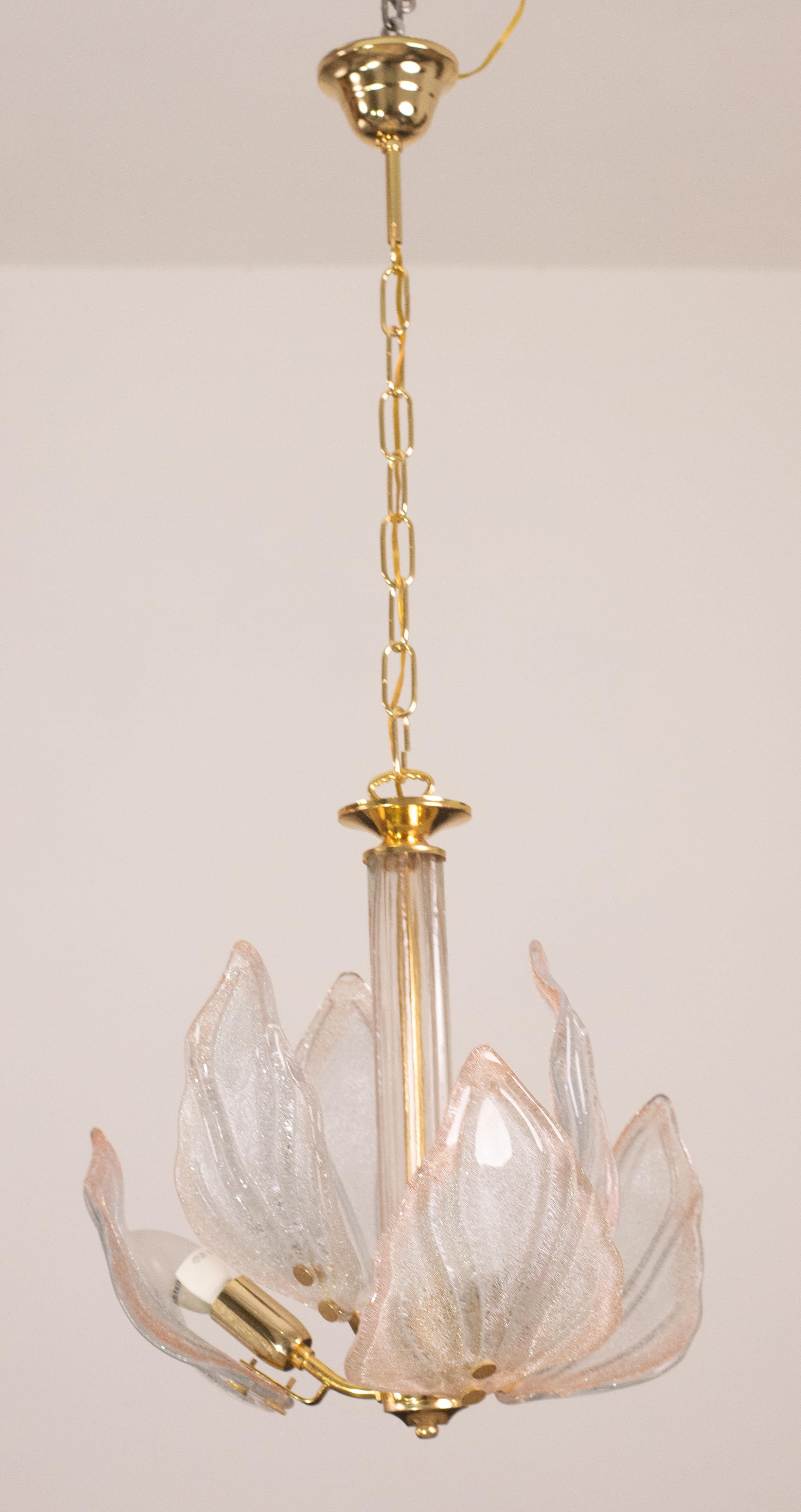Lustre en verre de Murano avec 6 feuilles roses dans le style de Franco Luce.

Hauteur avec chaîne 85 centimètres, hauteur sans chaîne 45 centimètres, diamètre 38.

3 lumières e14, possibilité de câblage pour Usa.

Bon état vintage