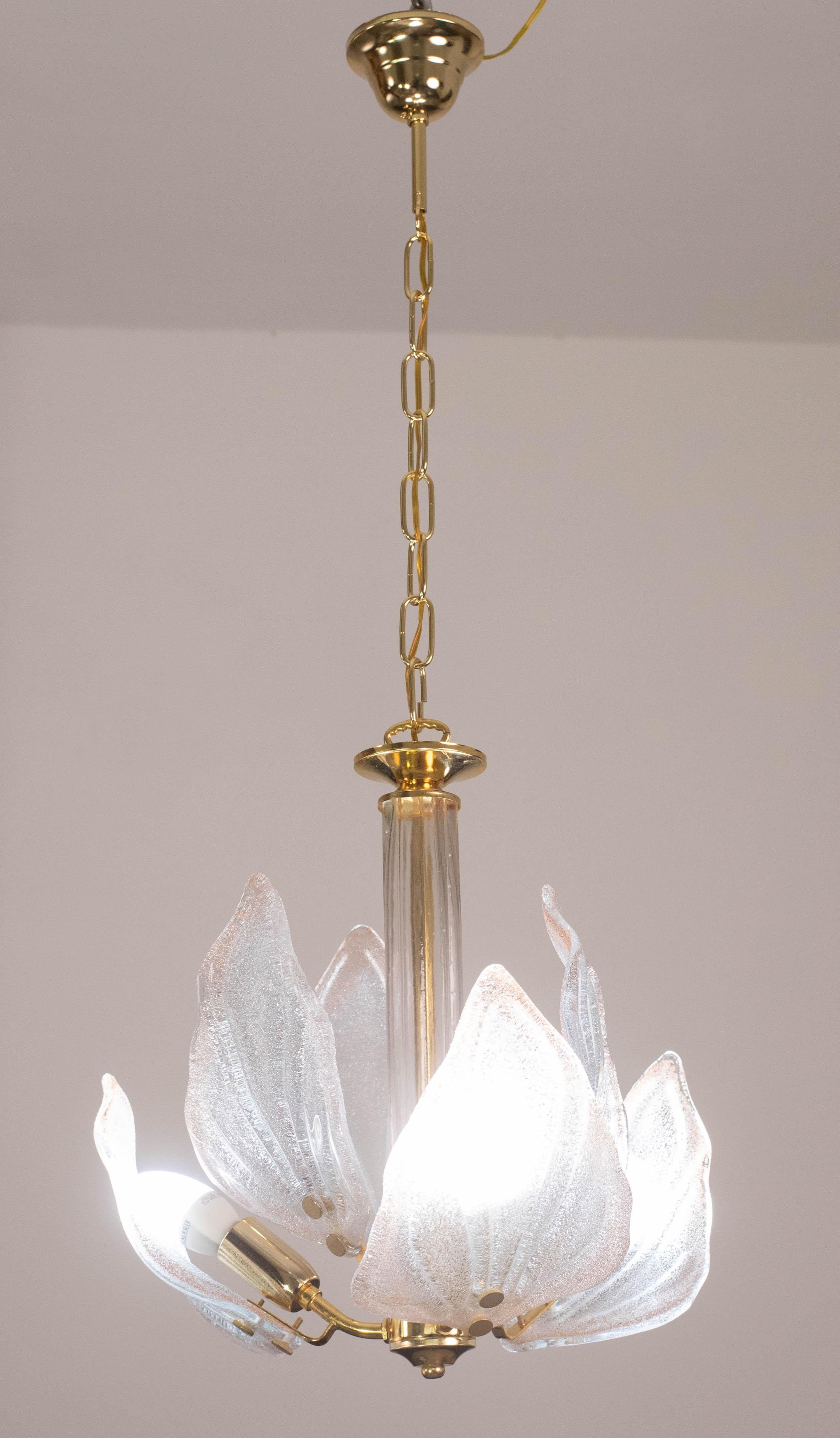 Européen Charmant lustre de Murano à feuilles roses, 1970 en vente