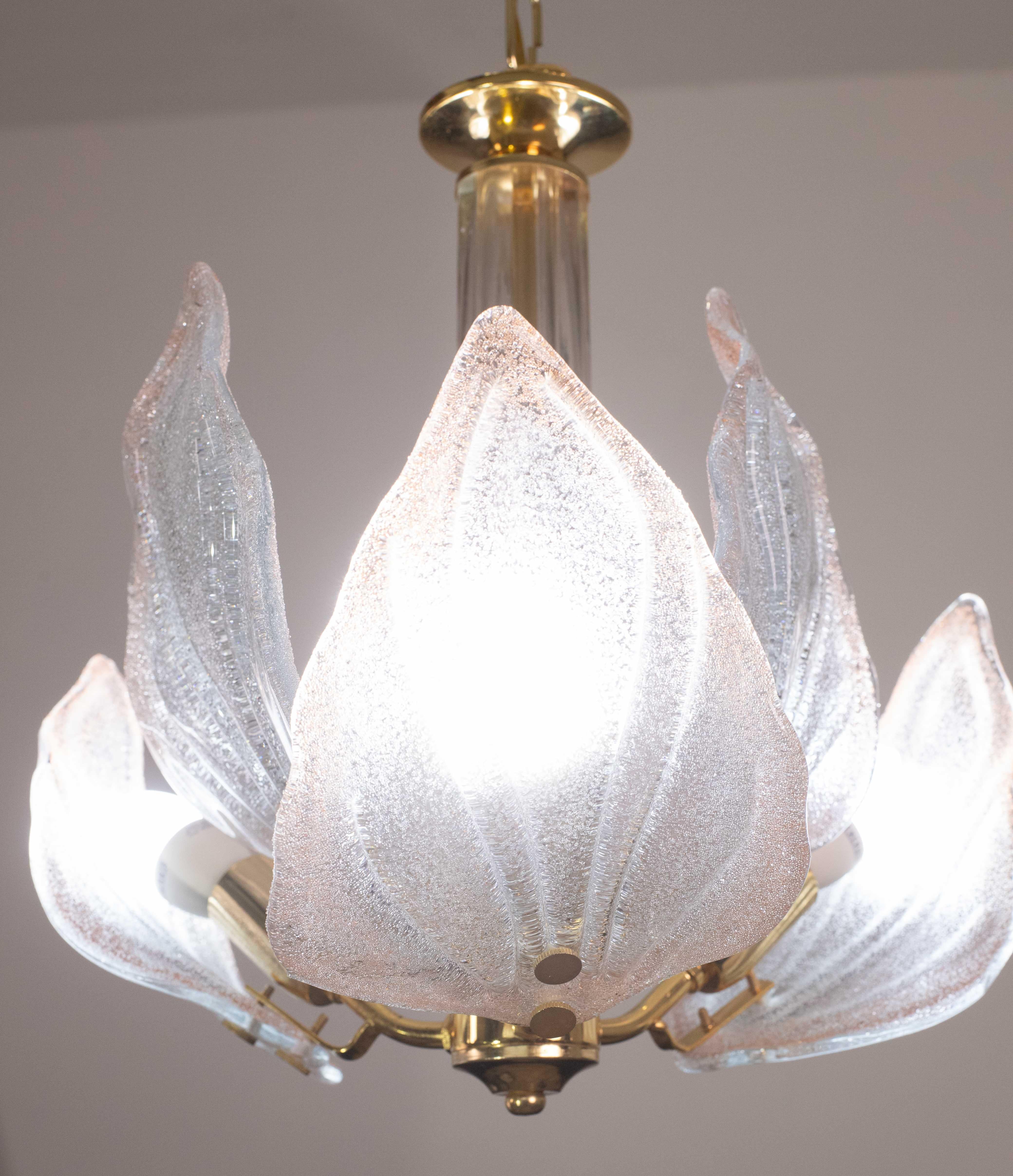 Charmant lustre de Murano à feuilles roses, 1970 en vente 1