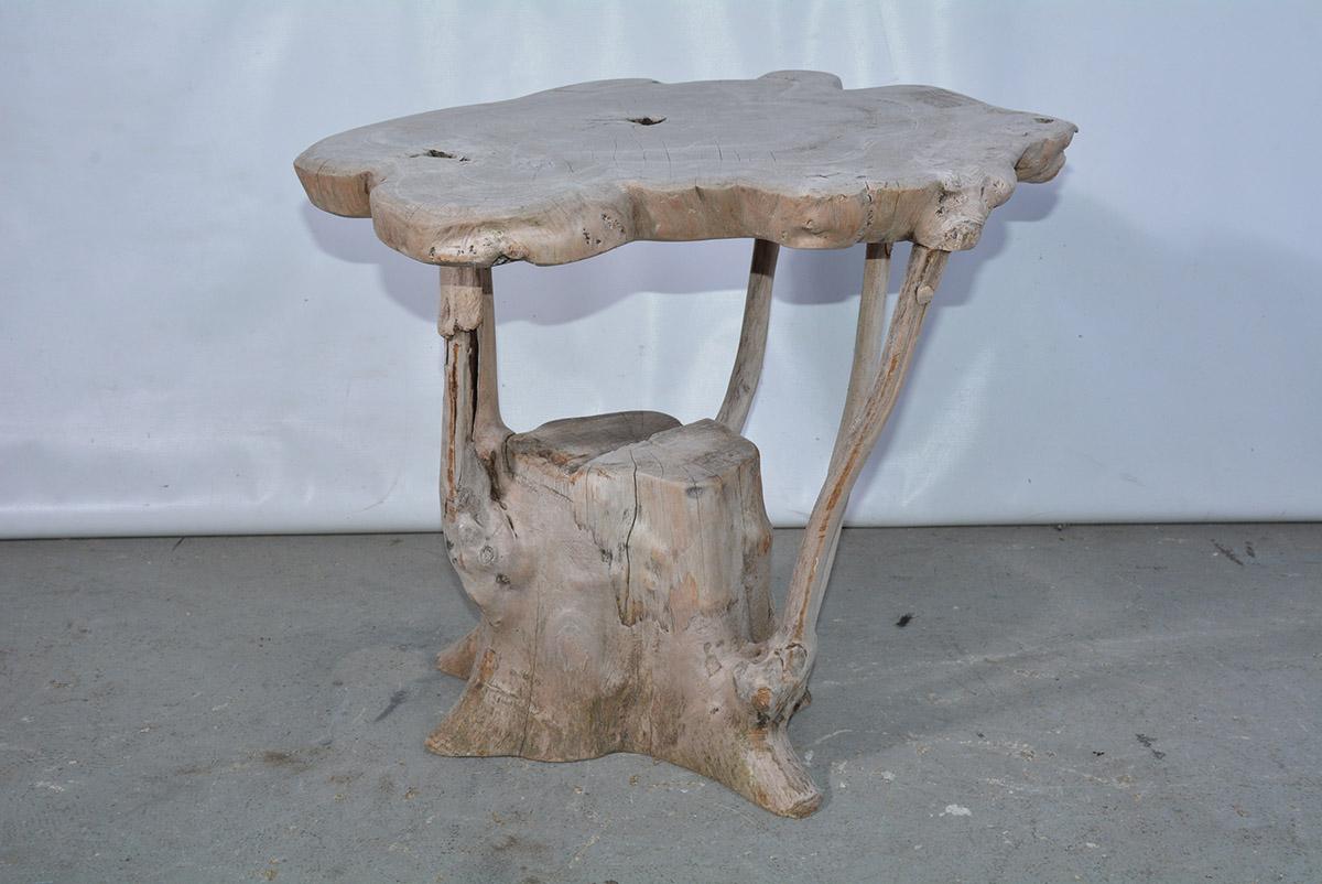 Modernist Organic Tree Root Table or Garden Seat 4