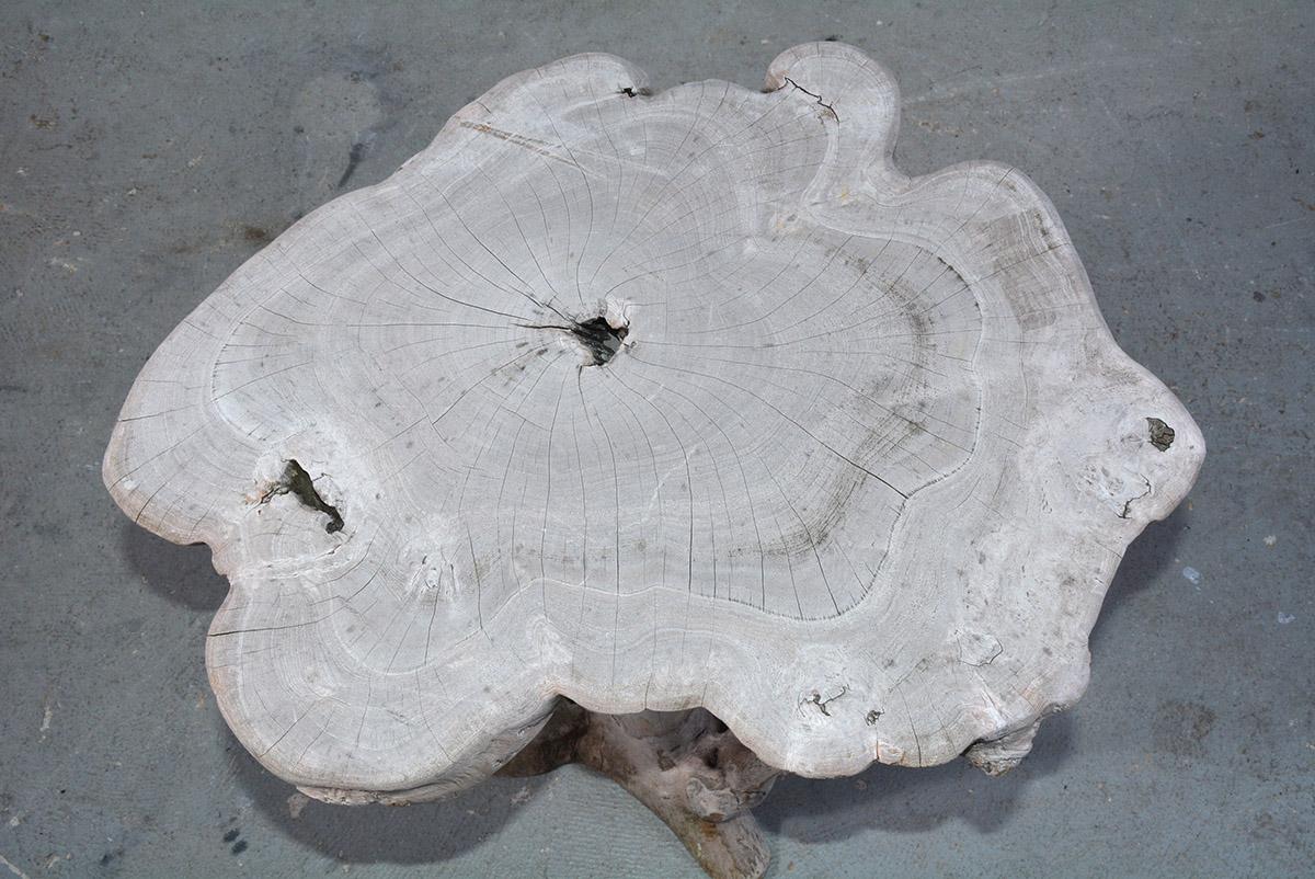 Modernist Organic Tree Root Table or Garden Seat 8