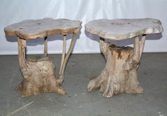 Modernist Organic Tree Root Table or Garden Seat