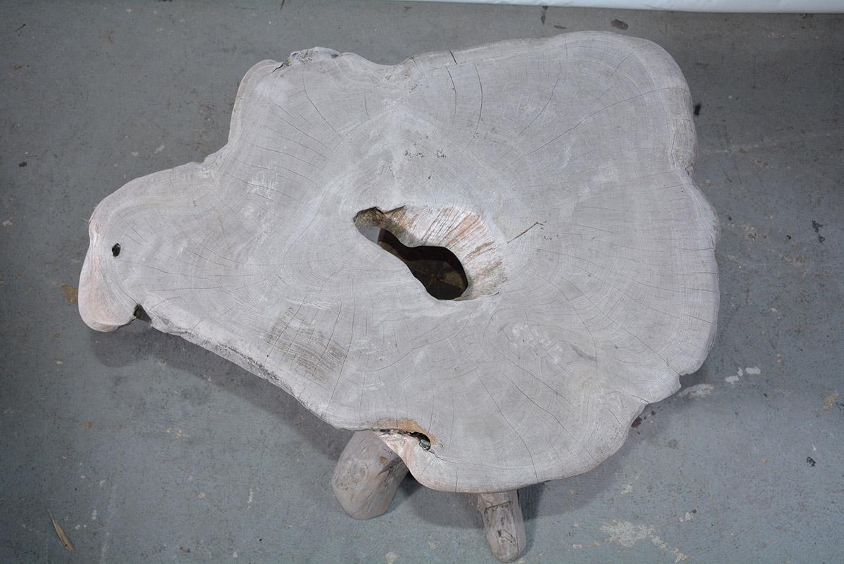 Modernist Organic Tree Root Table or Garden Seat 2