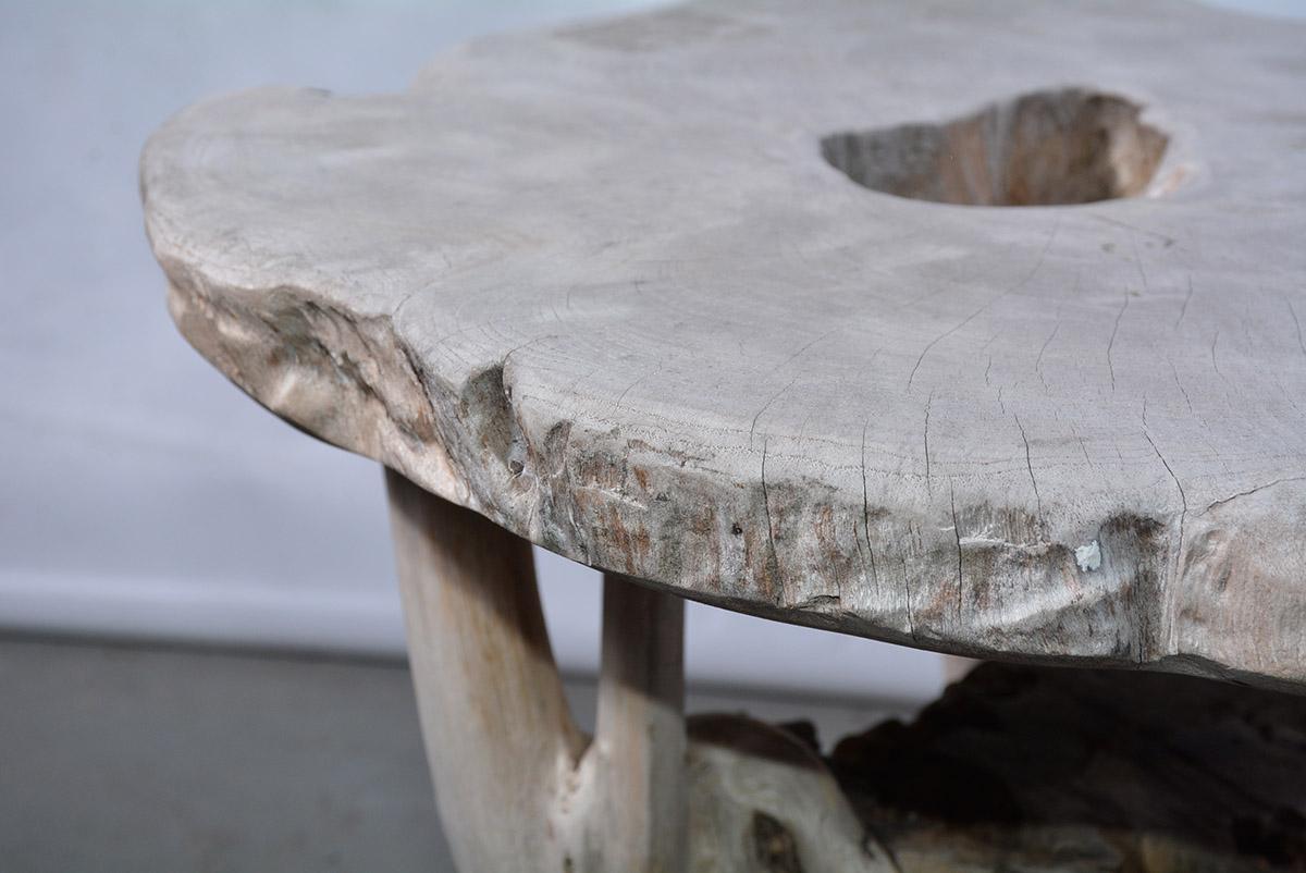 Modernist Organic Tree Root Table or Garden Seat 3