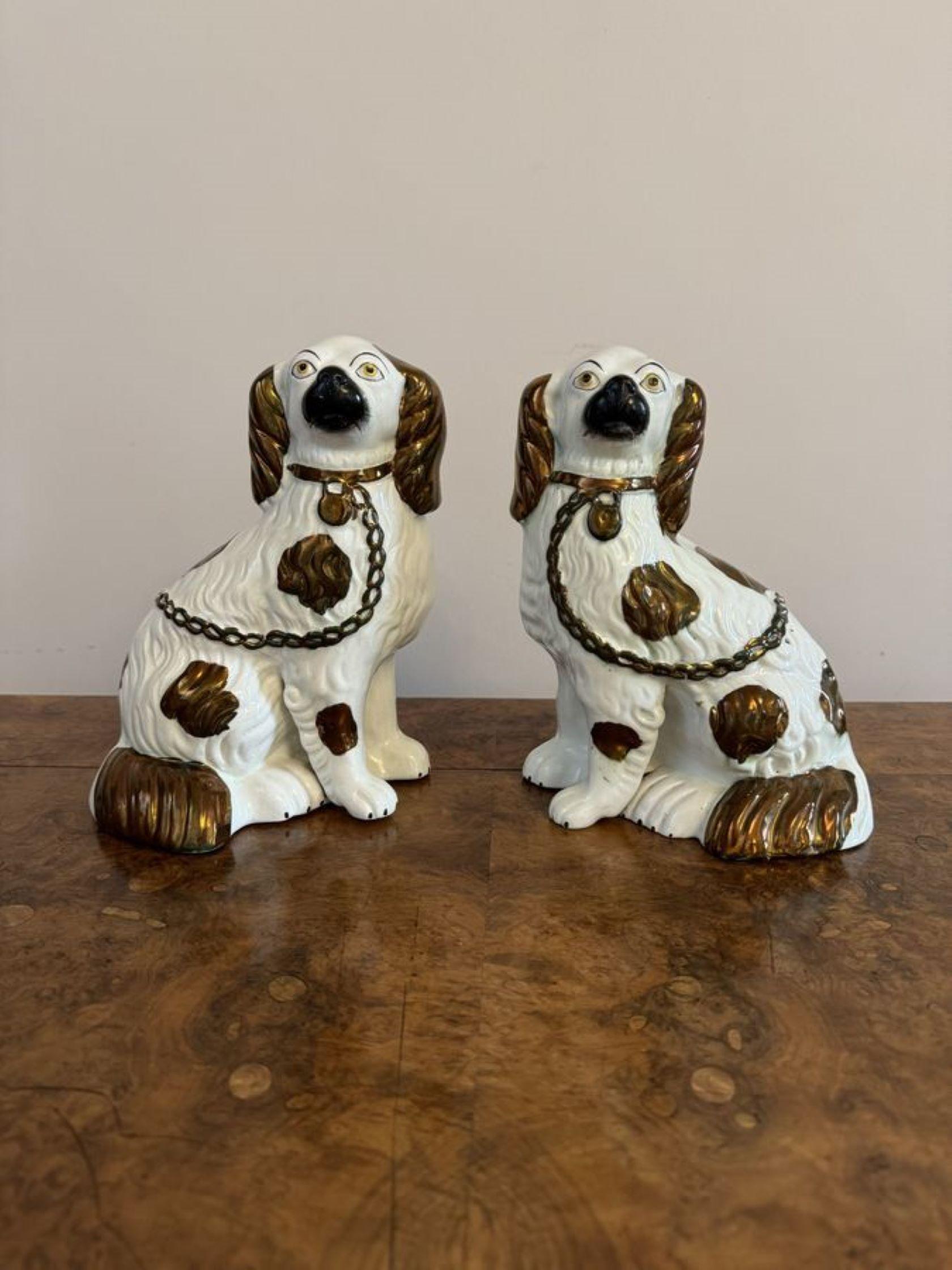 Charming pair of antique Victorian Staffordshire dogs, both seated spaniels with their front legs out, in matching copper brown & white coats, with collars, padlocks and chains.

D. 1880
