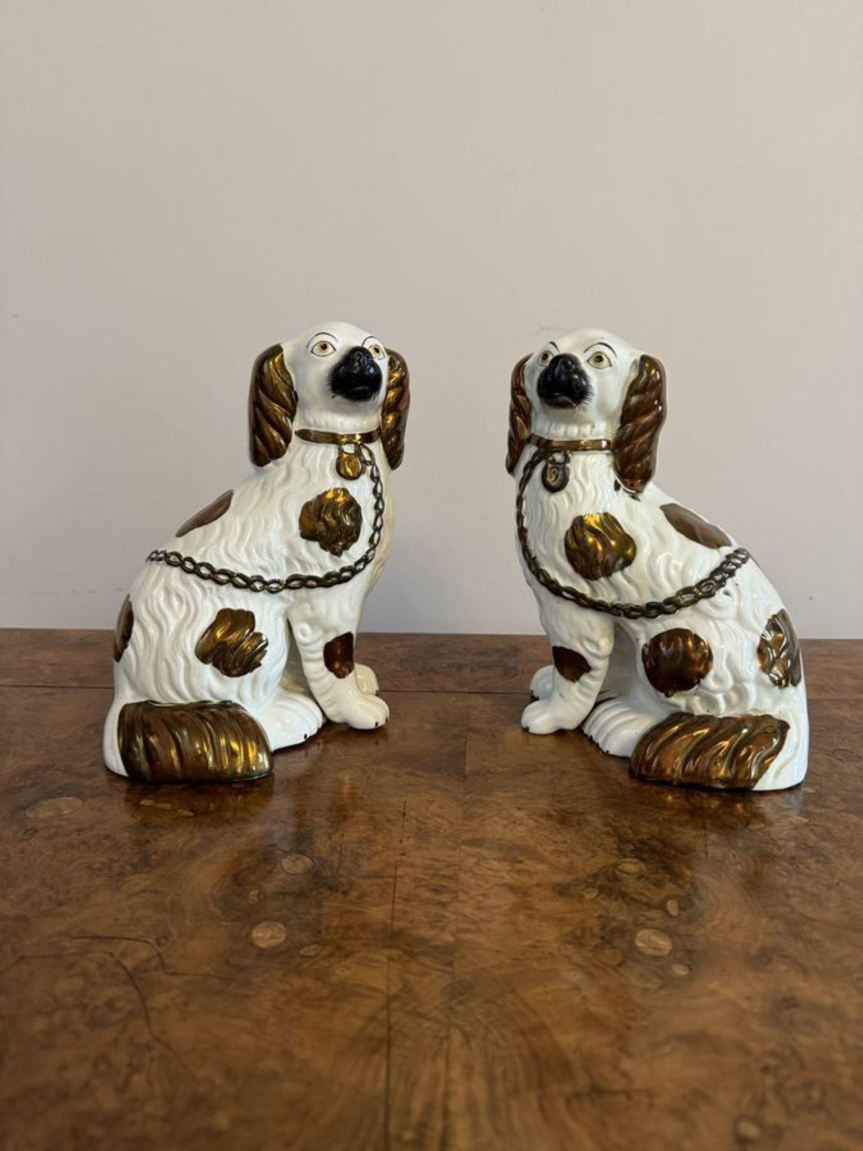 Early Victorian Charming pair of antique Victorian Staffordshire dogs For Sale