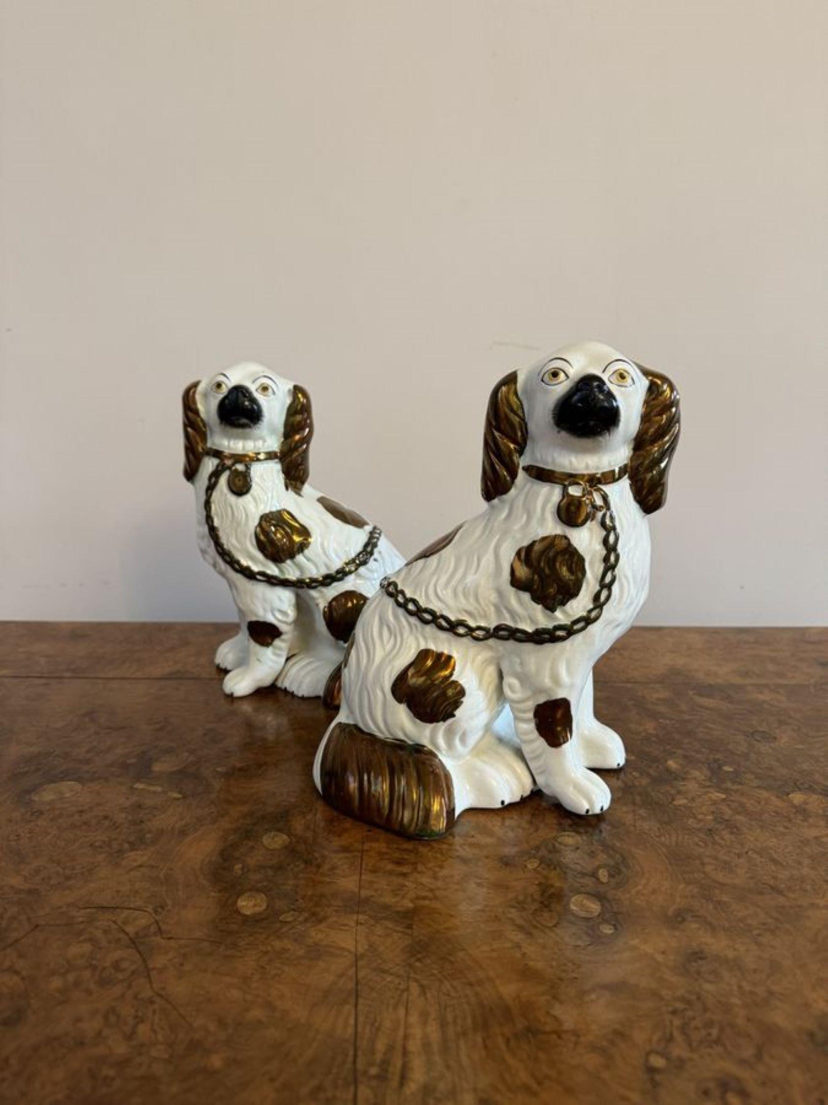 Charming pair of antique Victorian Staffordshire dogs In Good Condition For Sale In Ipswich, GB