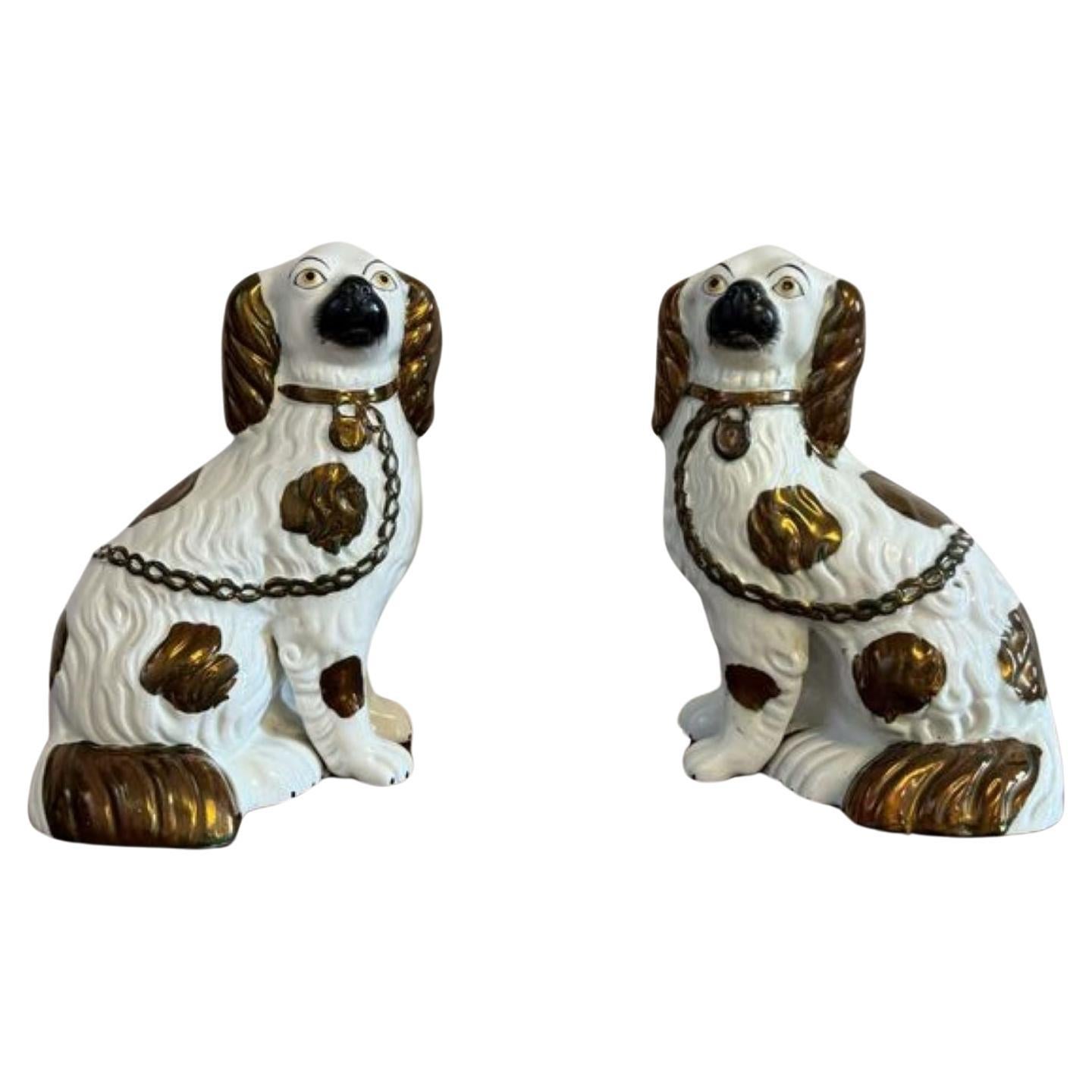 Charming pair of antique Victorian Staffordshire dogs For Sale