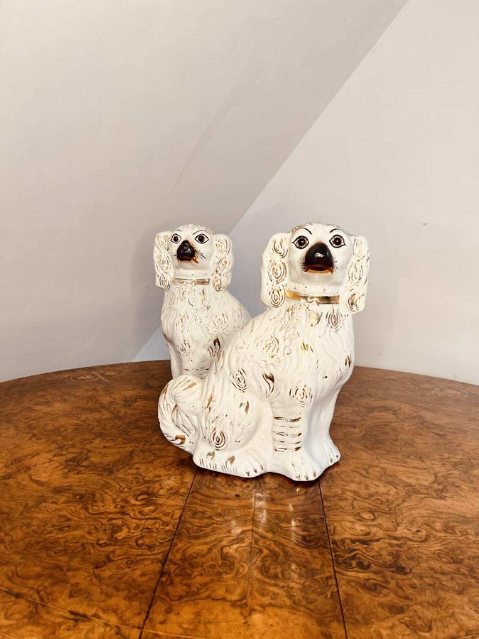 Early Victorian Charming pair of antique Victorian Staffordshire seated spaniels  For Sale