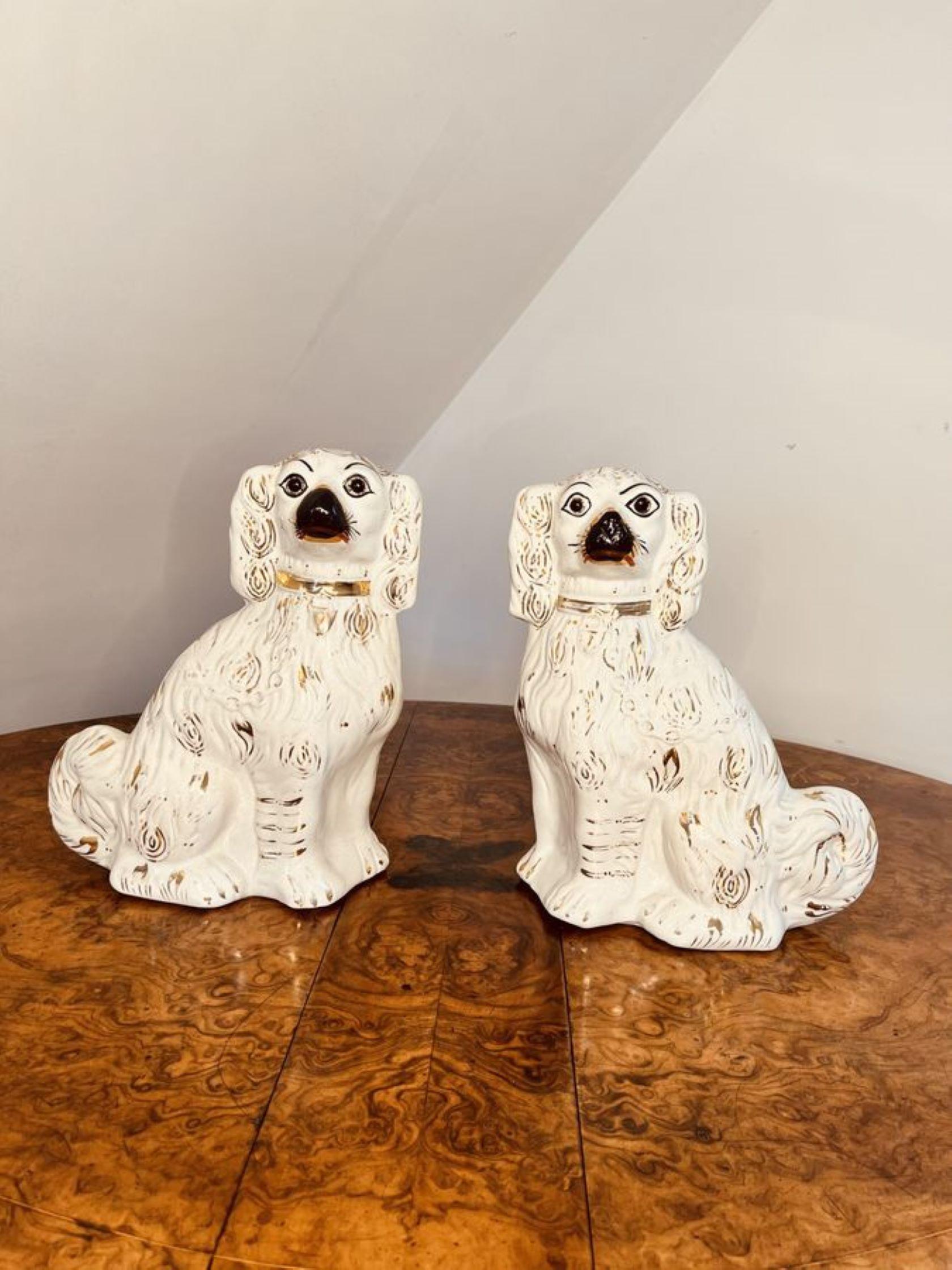 Charming pair of antique Victorian Staffordshire seated spaniels  In Good Condition For Sale In Ipswich, GB