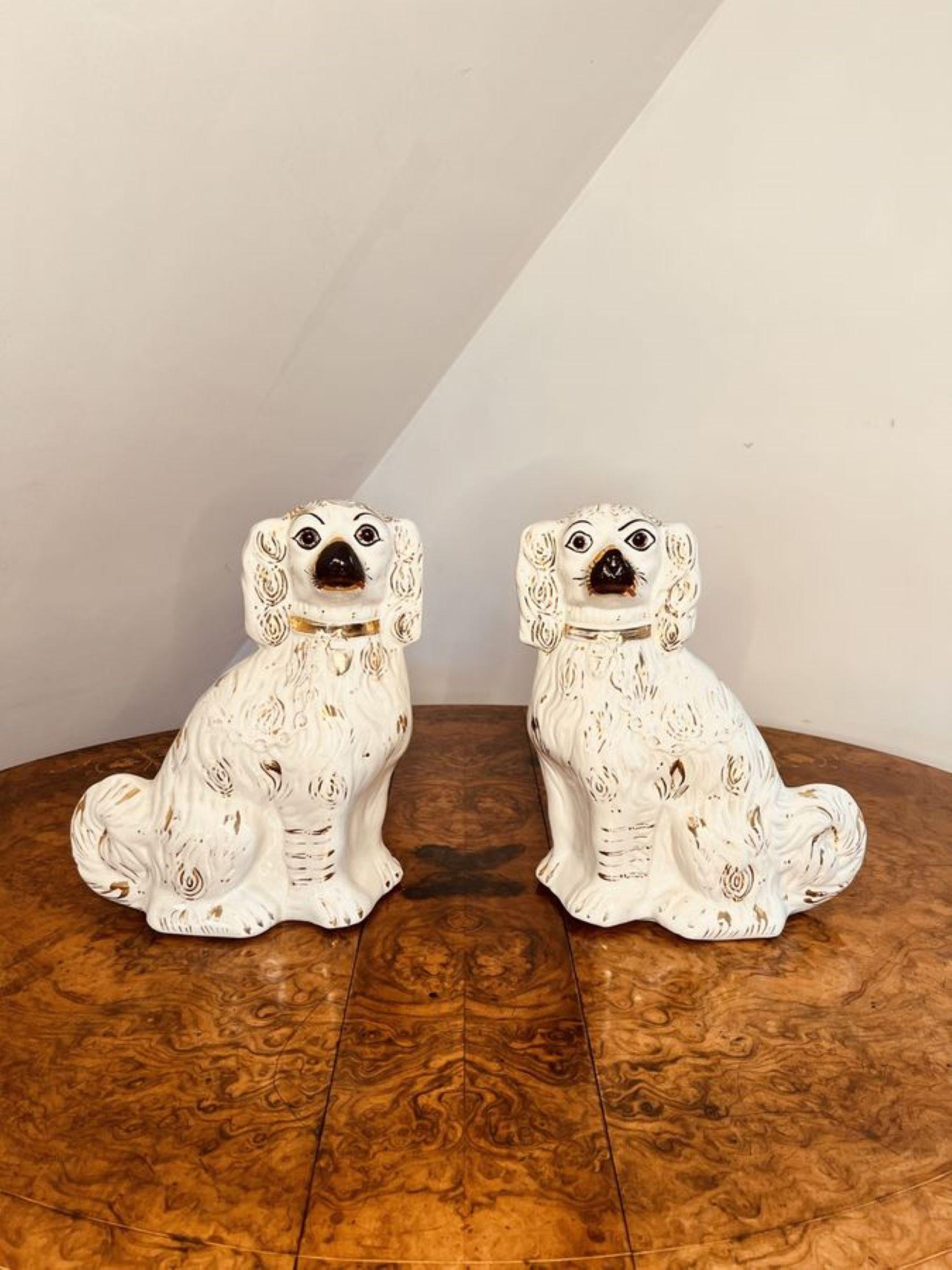 19th Century Charming pair of antique Victorian Staffordshire seated spaniels  For Sale