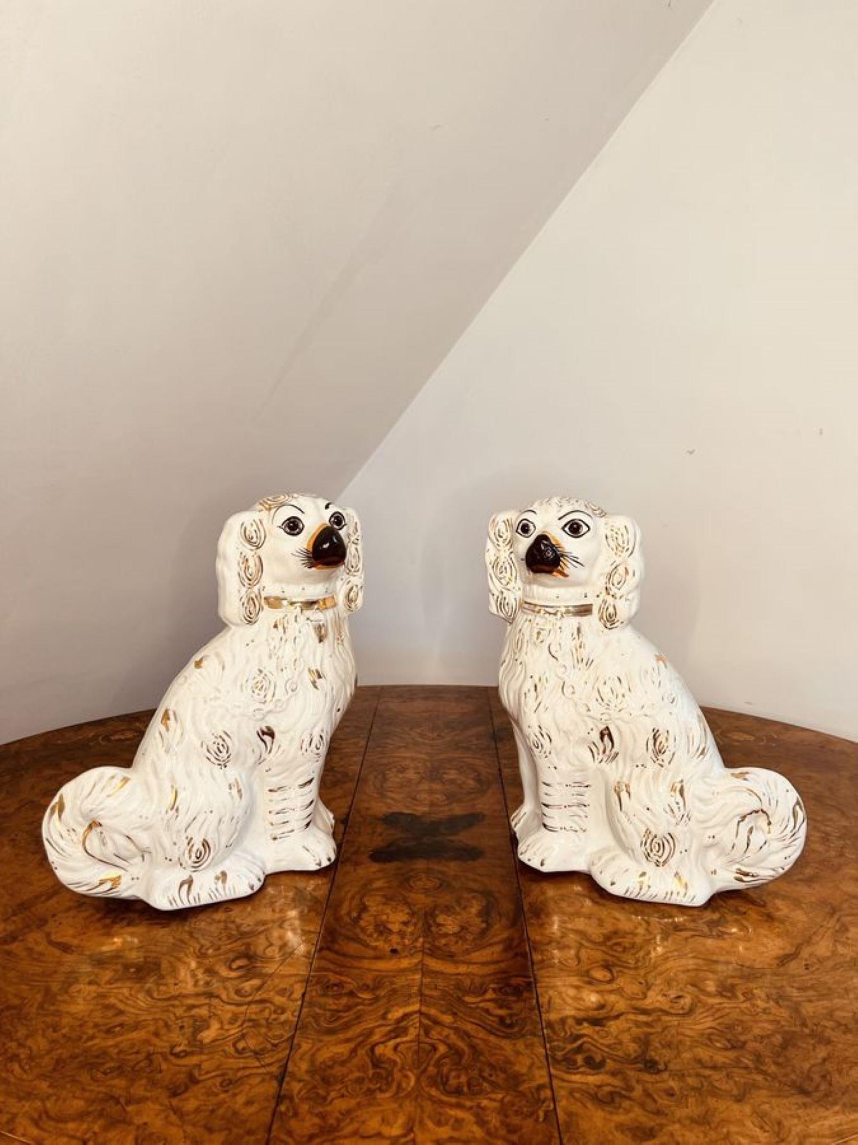 Ceramic Charming pair of antique Victorian Staffordshire seated spaniels  For Sale