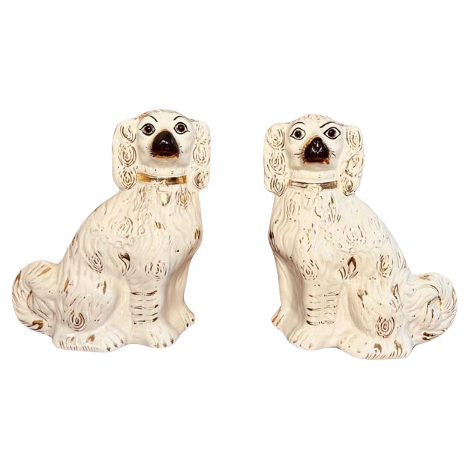 Charming pair of antique Victorian Staffordshire seated spaniels 