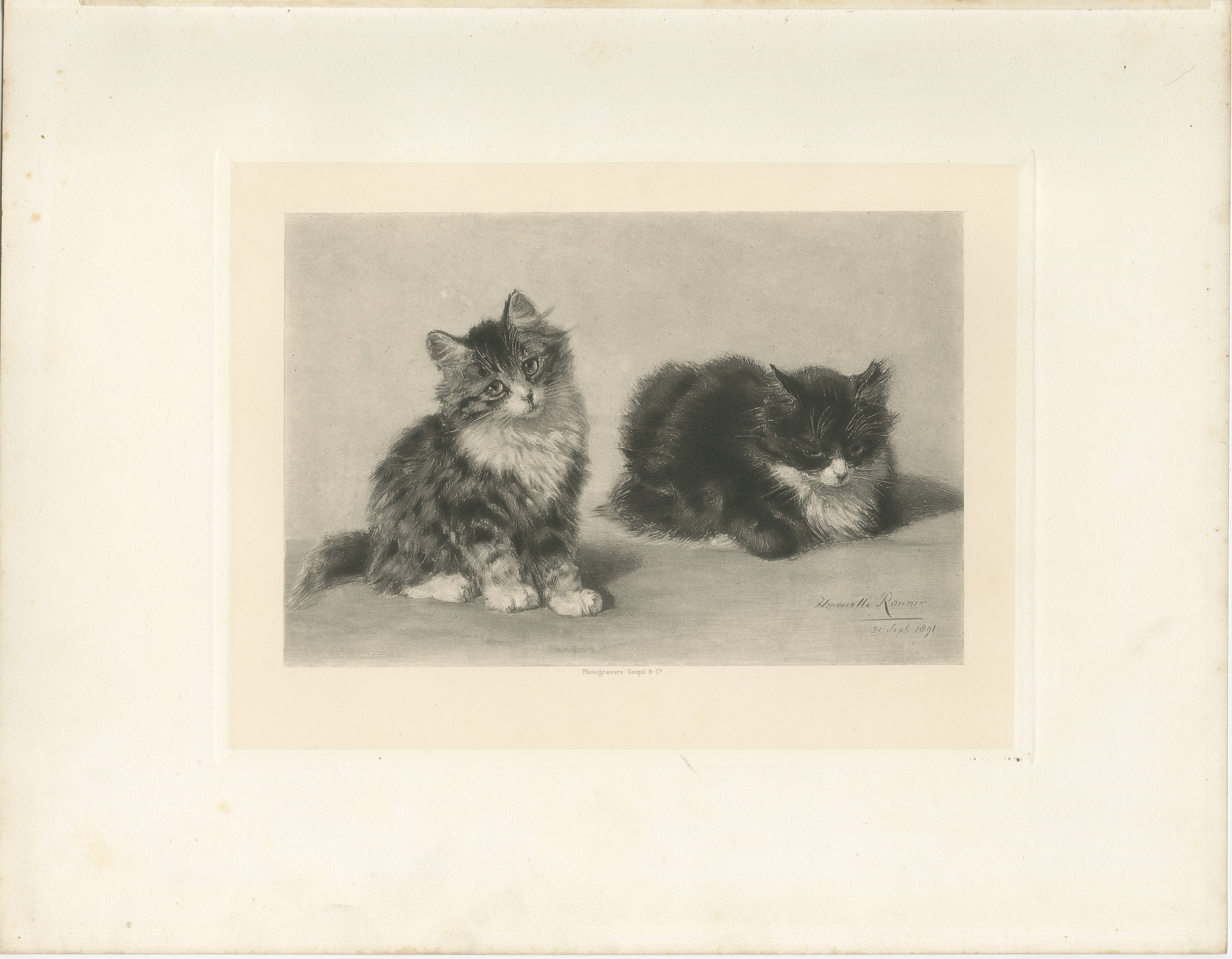 Titolo: Affascinante coppia di gattini - Stampa antica sui gatti di Henriette Ronner, 1894

Descrizione: Ti presentiamo 