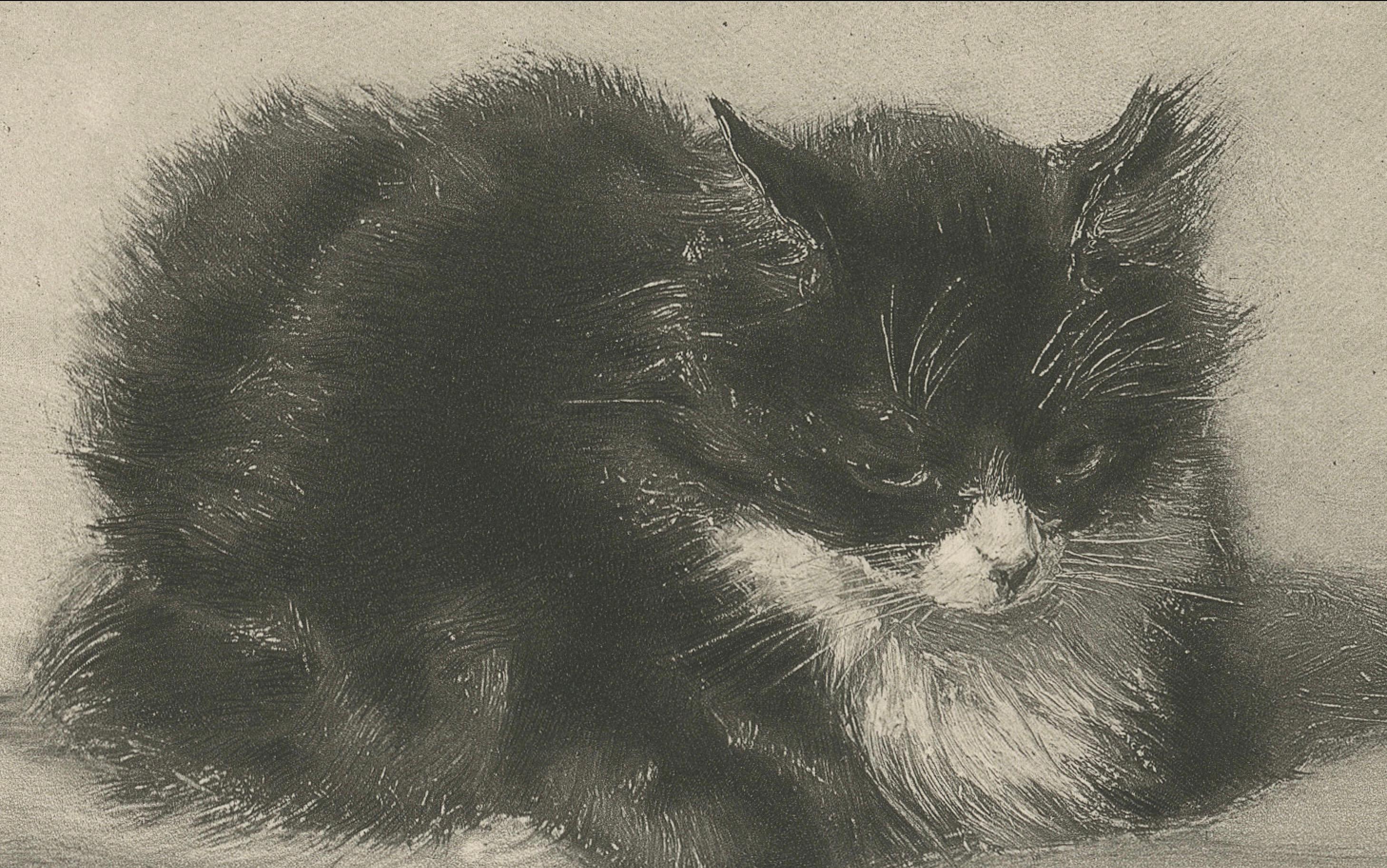 Affascinante coppia di gattini - Stampa antica di gatti di Henriette Ronner, 1894 In condizioni buone in vendita a Langweer, NL
