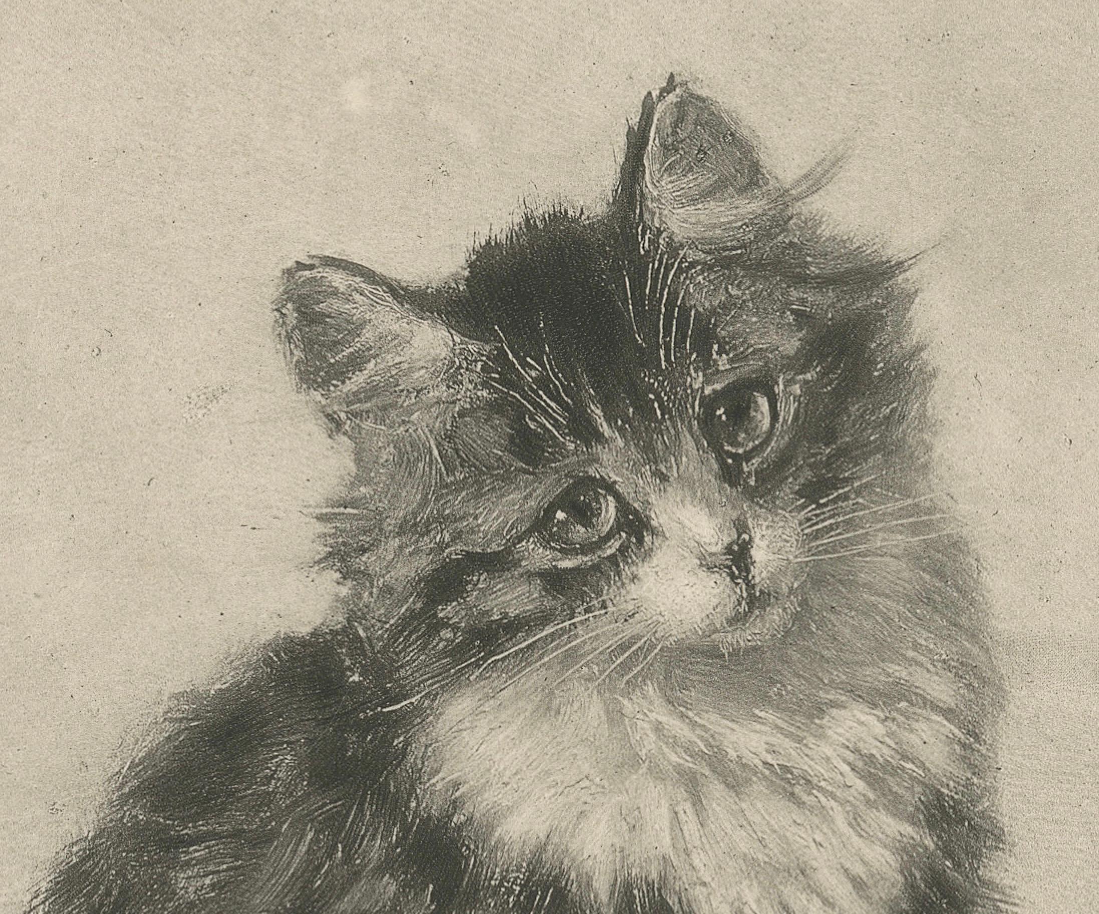 Fine XIX secolo Affascinante coppia di gattini - Stampa antica di gatti di Henriette Ronner, 1894 in vendita