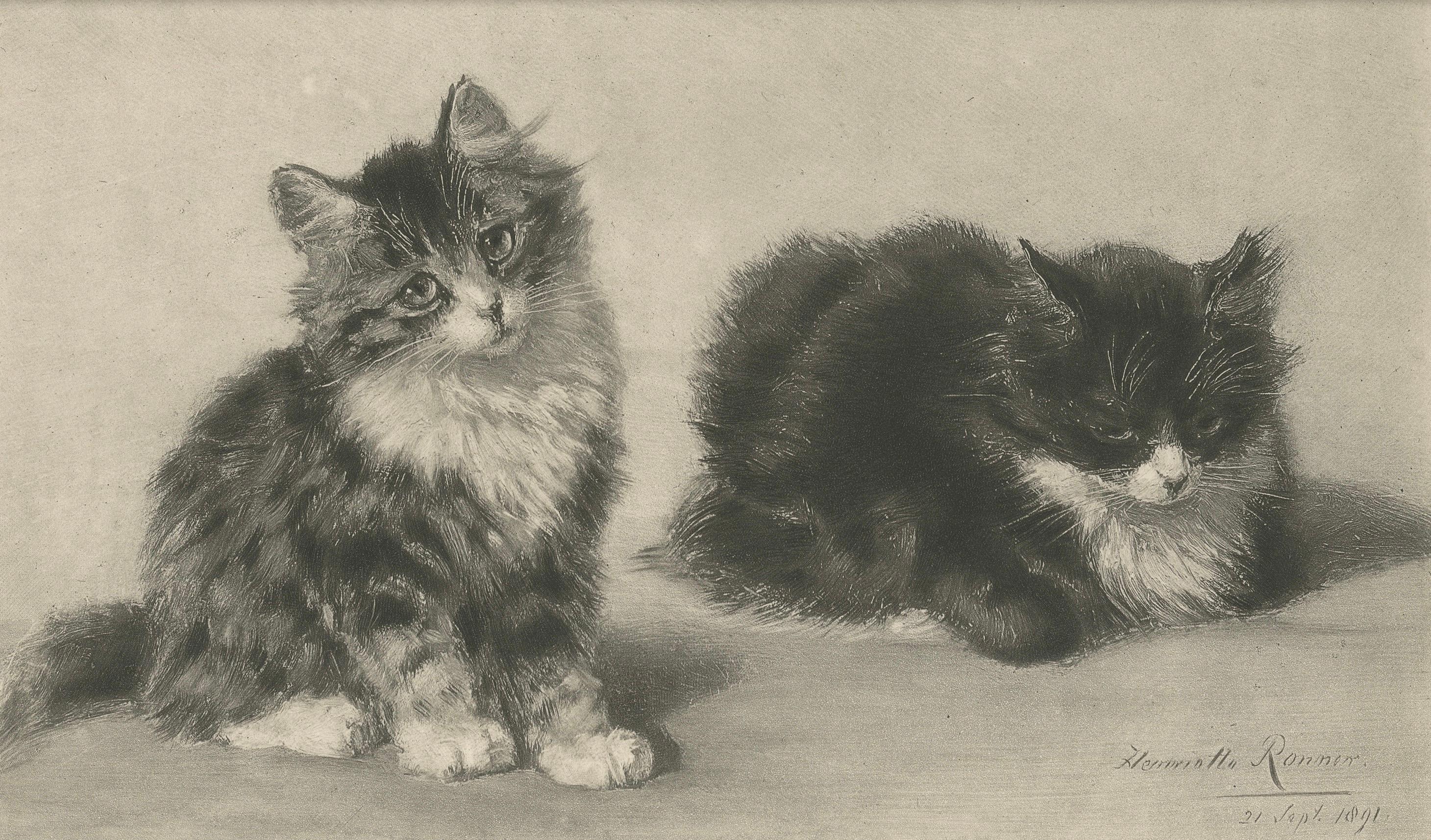 Carta Affascinante coppia di gattini - Stampa antica di gatti di Henriette Ronner, 1894 in vendita