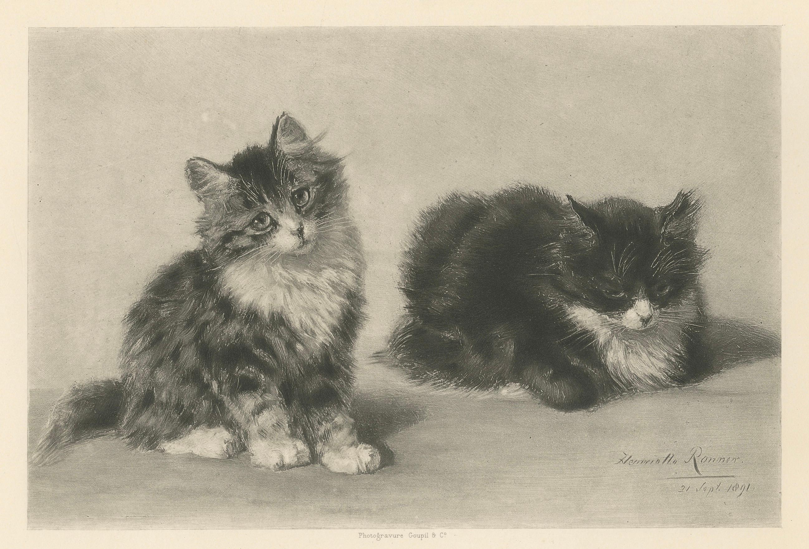 Affascinante coppia di gattini - Stampa antica di gatti di Henriette Ronner, 1894 in vendita 1