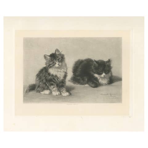 Charming Pair of Kittens - Antique Cat Print by Henriette Ronner, 1894
