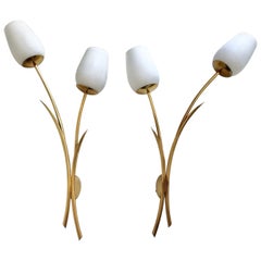 Charming Pair of "Tulip" Wall Lights, Maison Arlus, 1950