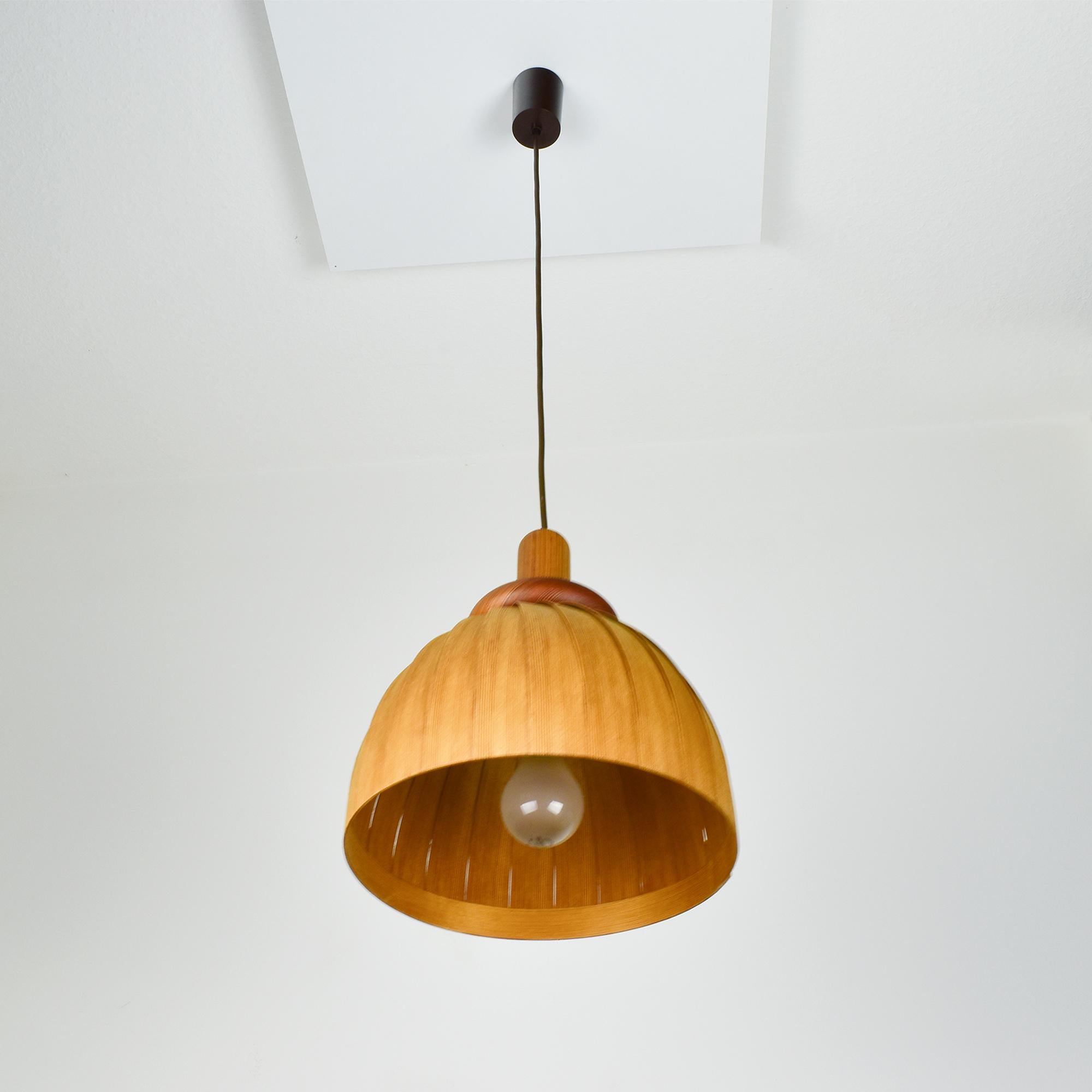 Incantevole lampada a sospensione di Hans-Agne Jakobsson Ellysett 1970s Scandinavian Design in vendita 1