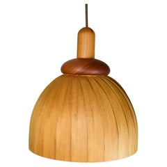 Charmante Pendelleuchte von Hans-Agne Jakobsson Ellysett, 1970er Jahre, skandinavisches Design