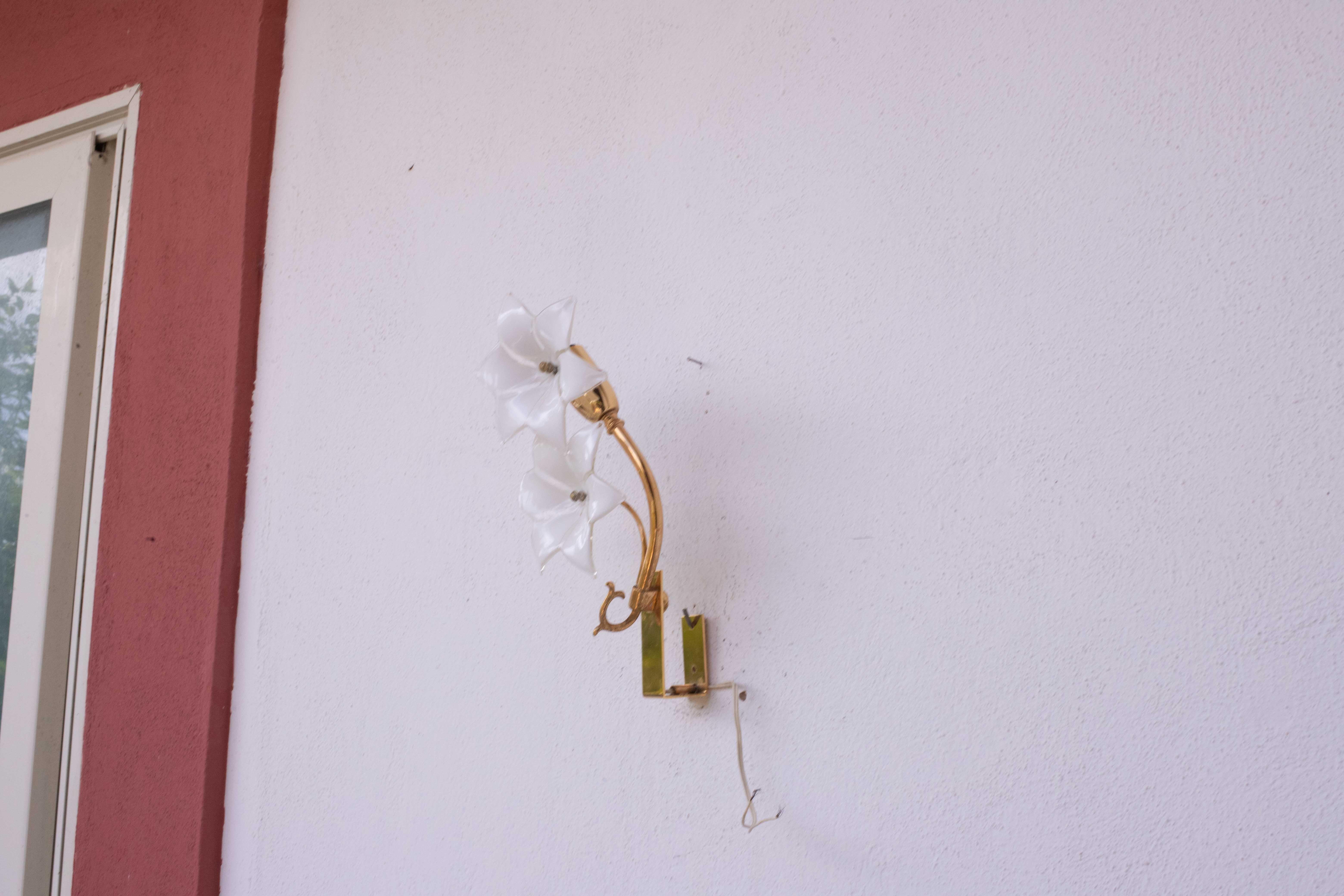Fantástico conjunto de 2 apliques con flores de Murano.

Cada luz monta dos flores y un portalámparas e14 estándar europeo, posible recablear para Usa.

Las luces miden 28 centímetros de alto, 14 centímetros de ancho y 14 centímetros de