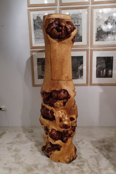 Charming Small Cabinet in a Tree Trunk in Elm Wood, French Work, circa 1950